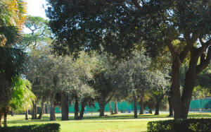 294 Kelsey Park Circle