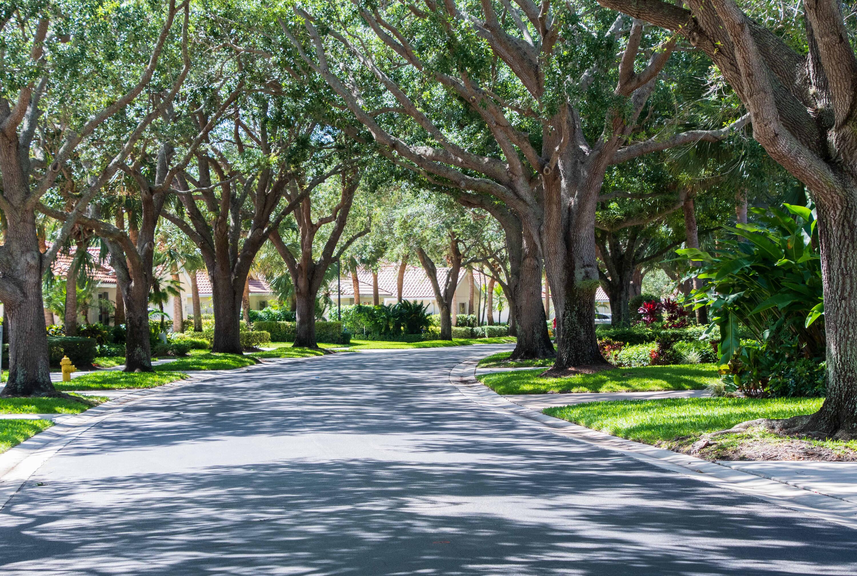 294 Kelsey Park Circle