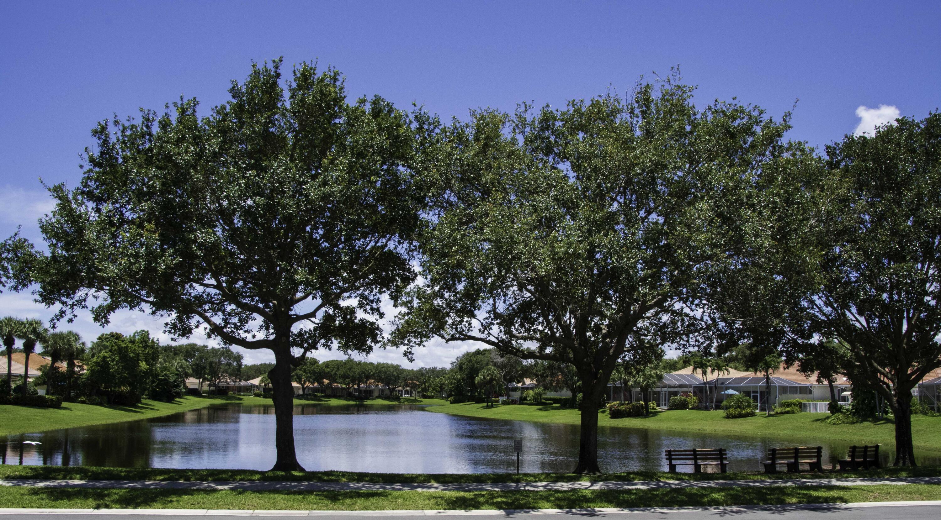 294 Kelsey Park Circle