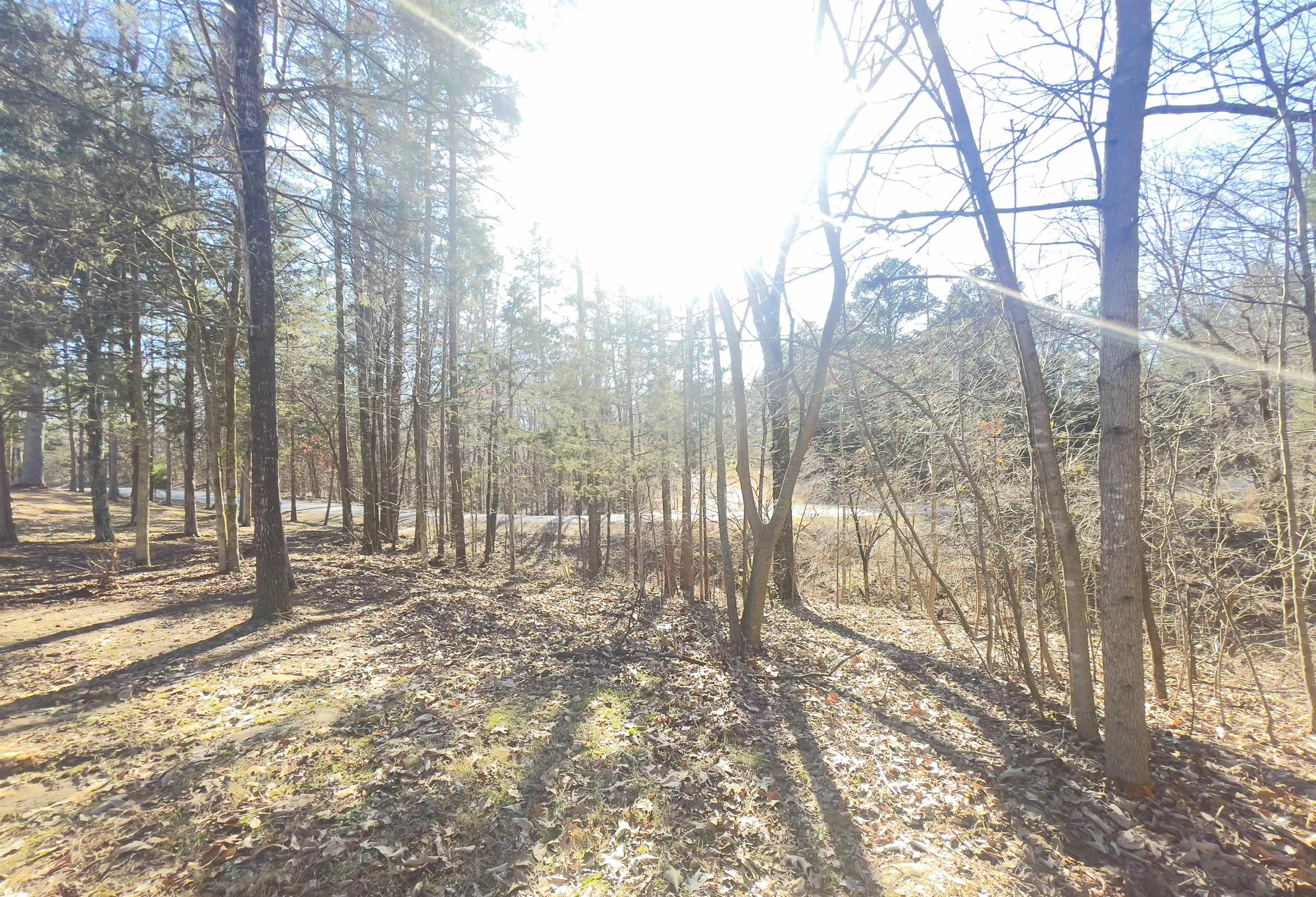 110 ROLLING BROOK DR