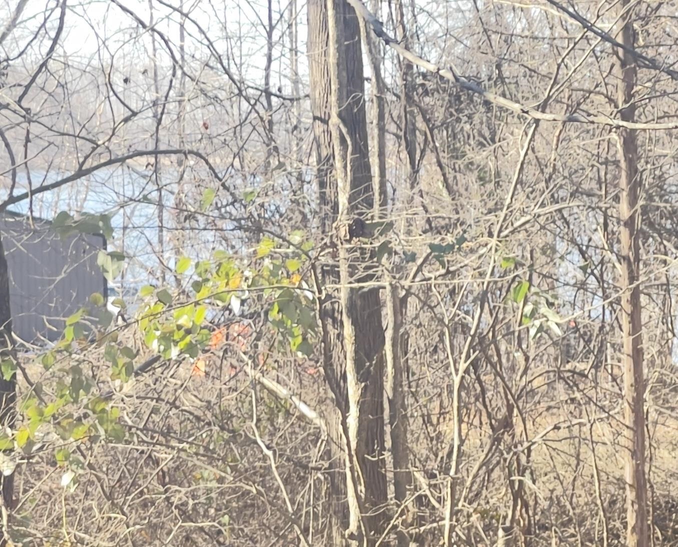 110 ROLLING BROOK DR