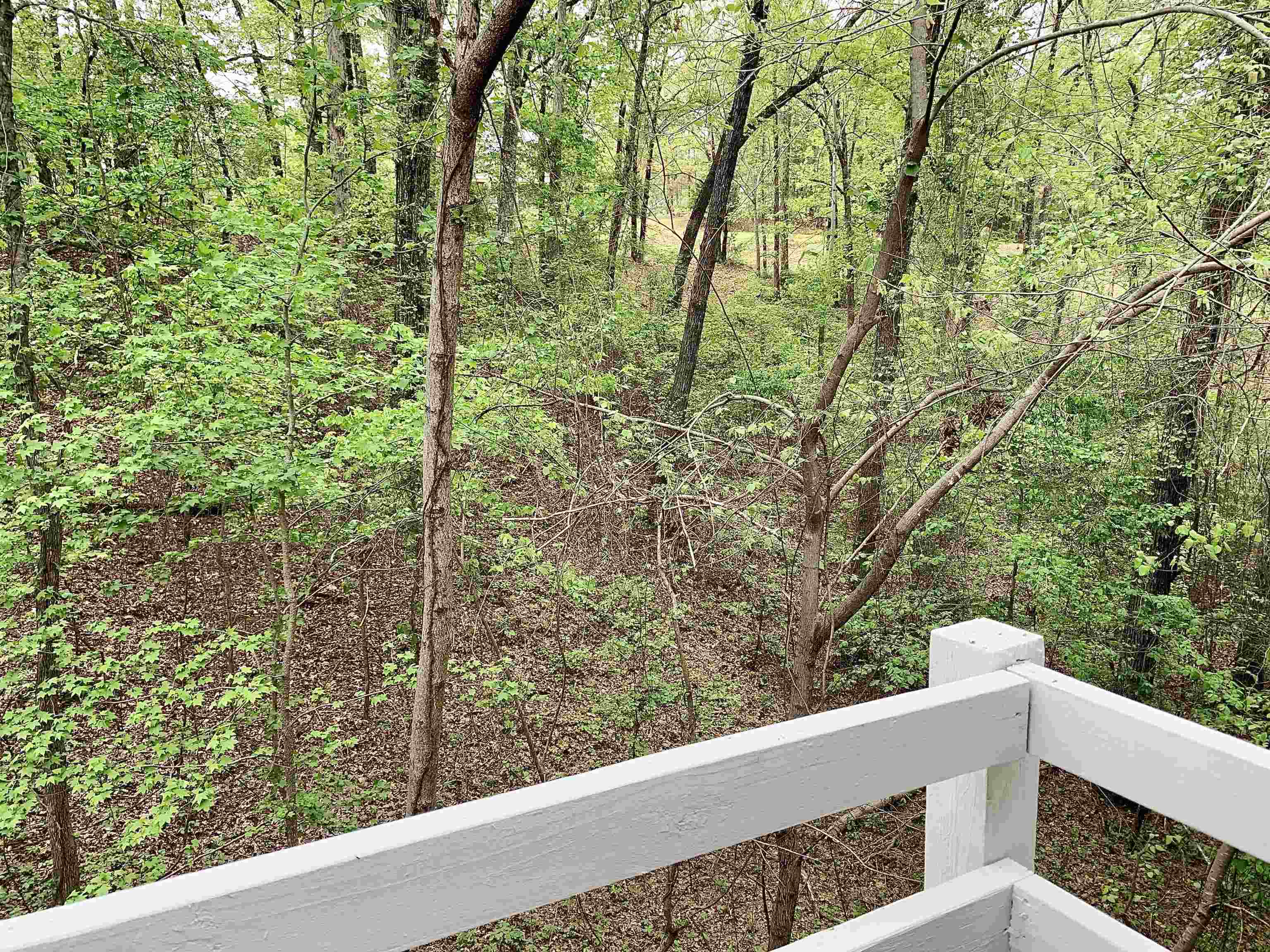 97 CANDLEWOOD DR Unit: CWL97