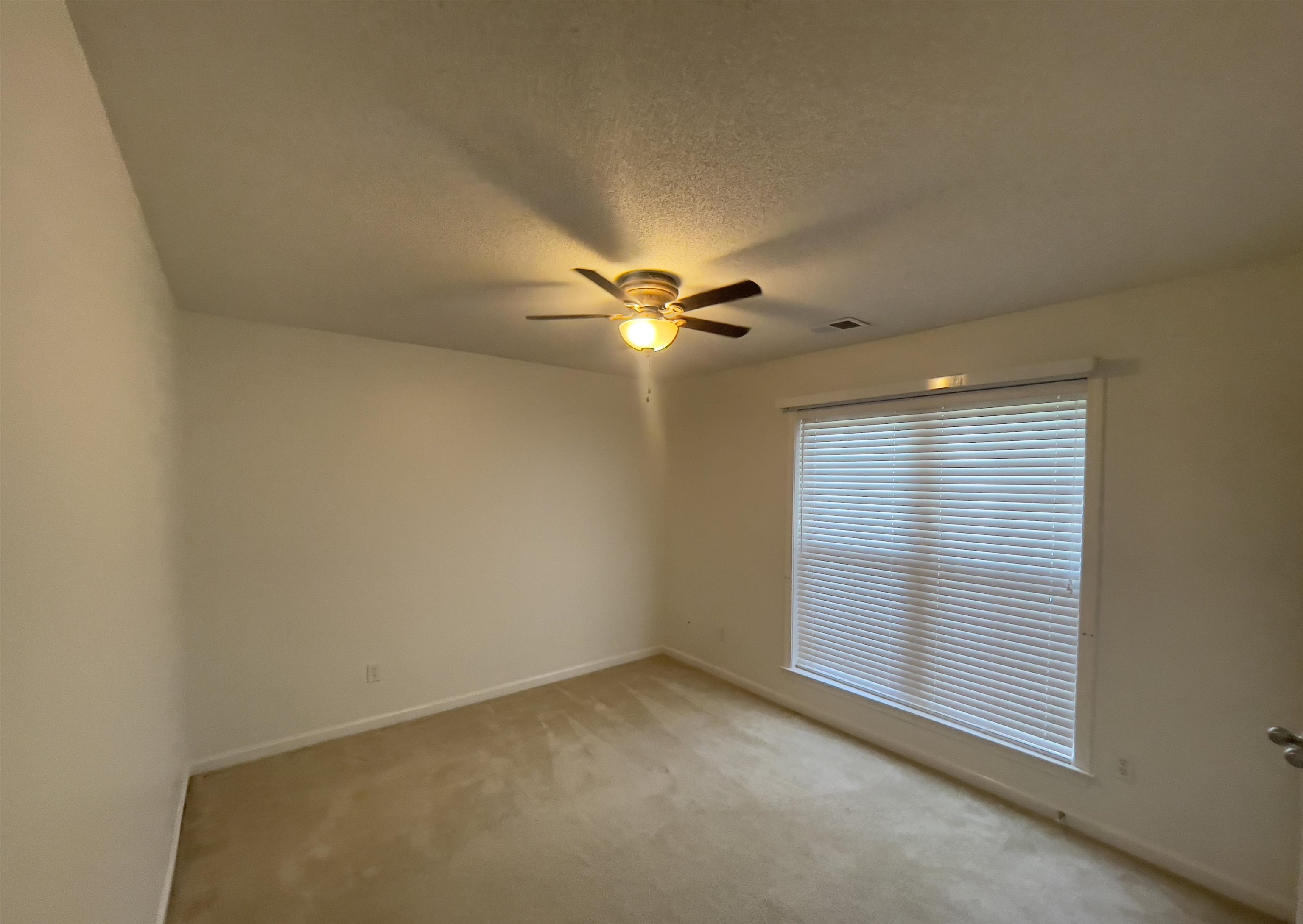 65 CAITLYN GENEVA CV