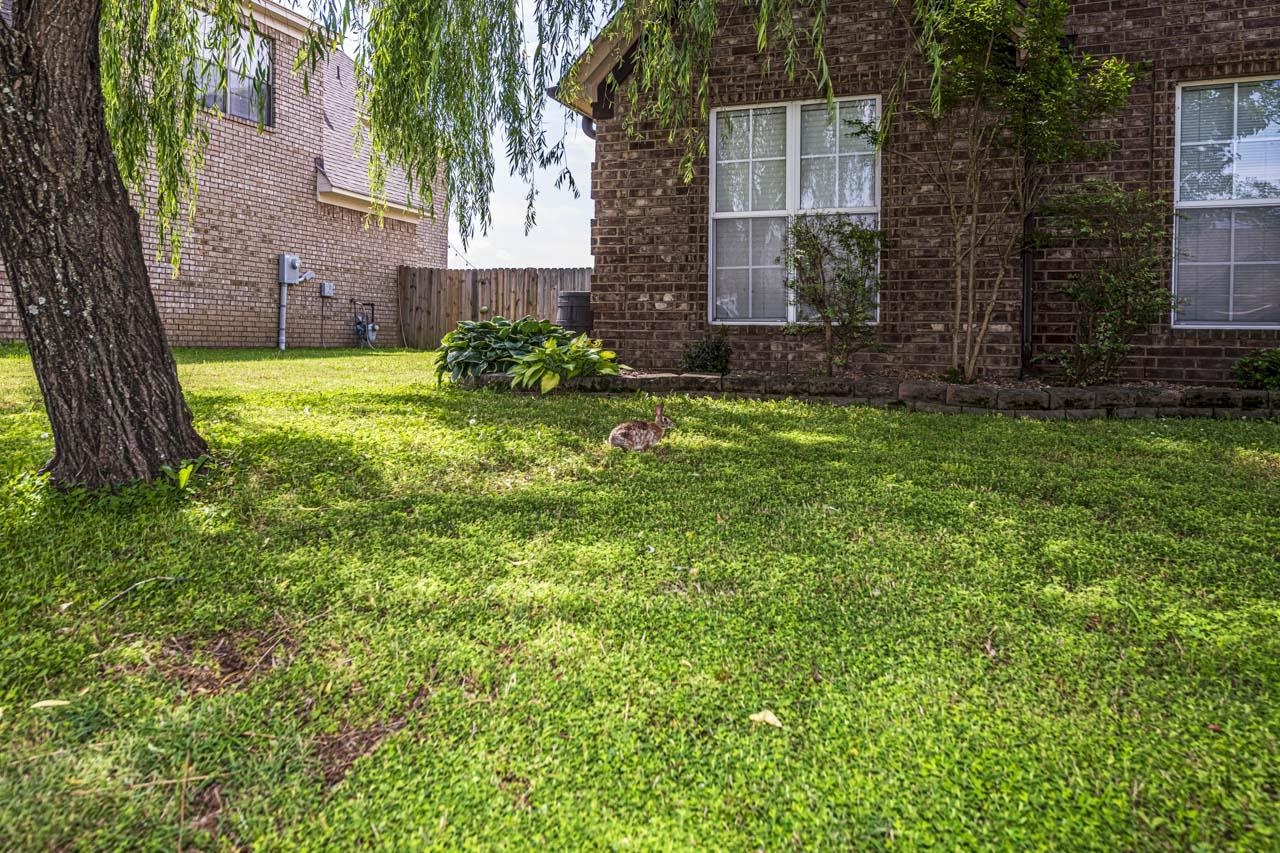 65 CAITLYN GENEVA CV