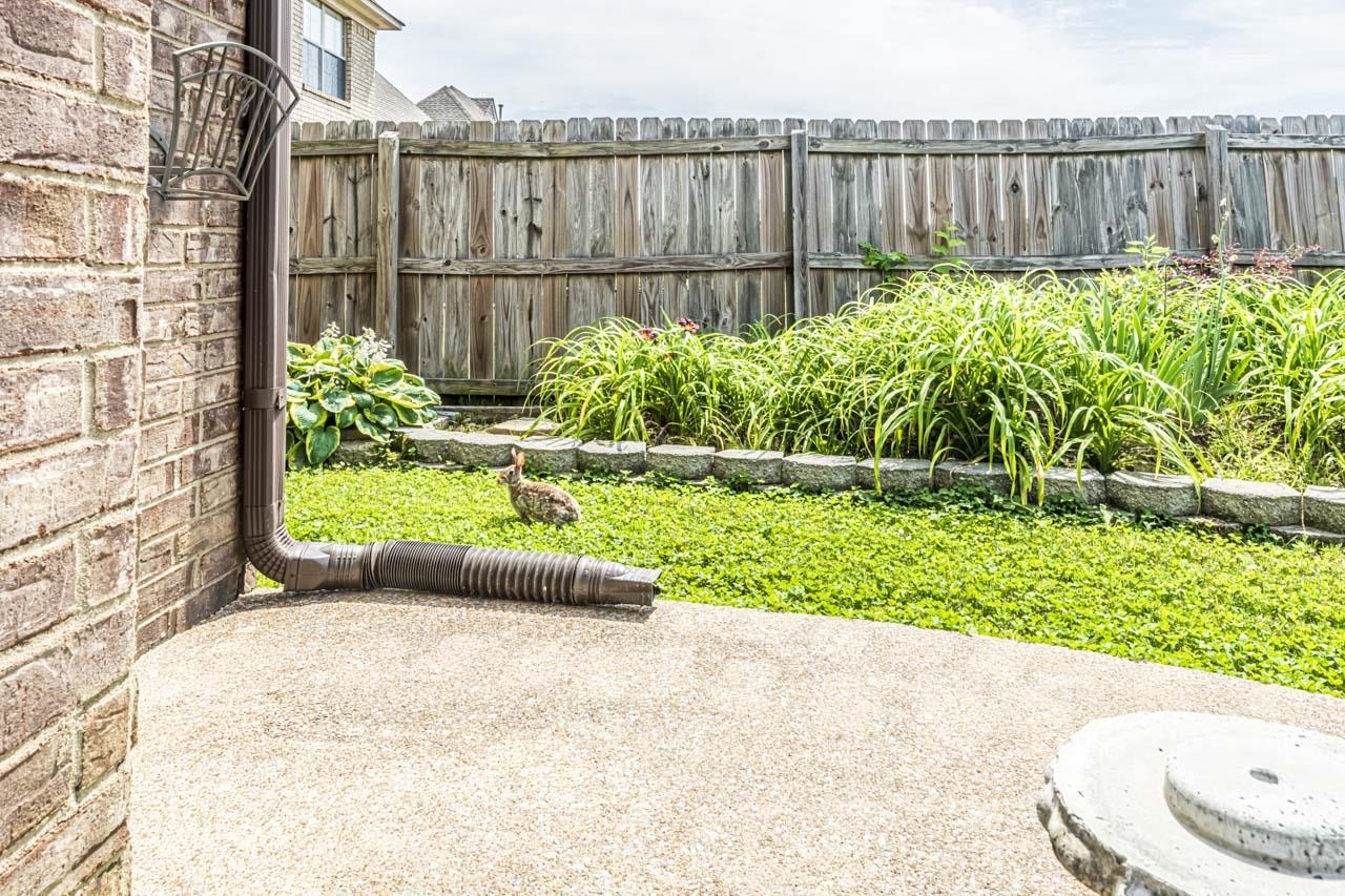 65 CAITLYN GENEVA CV