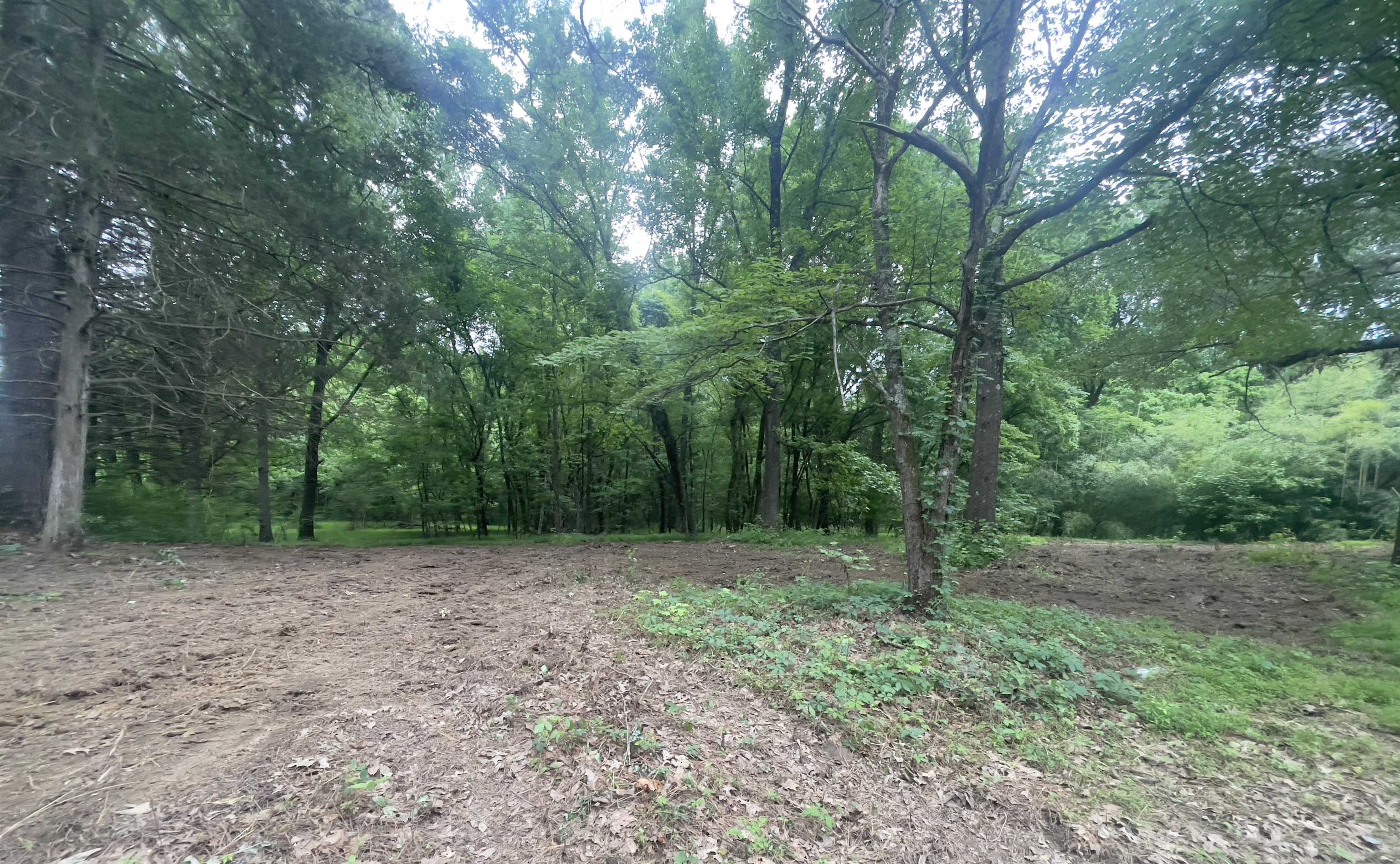 5095 FEATHERS CHAPEL RD