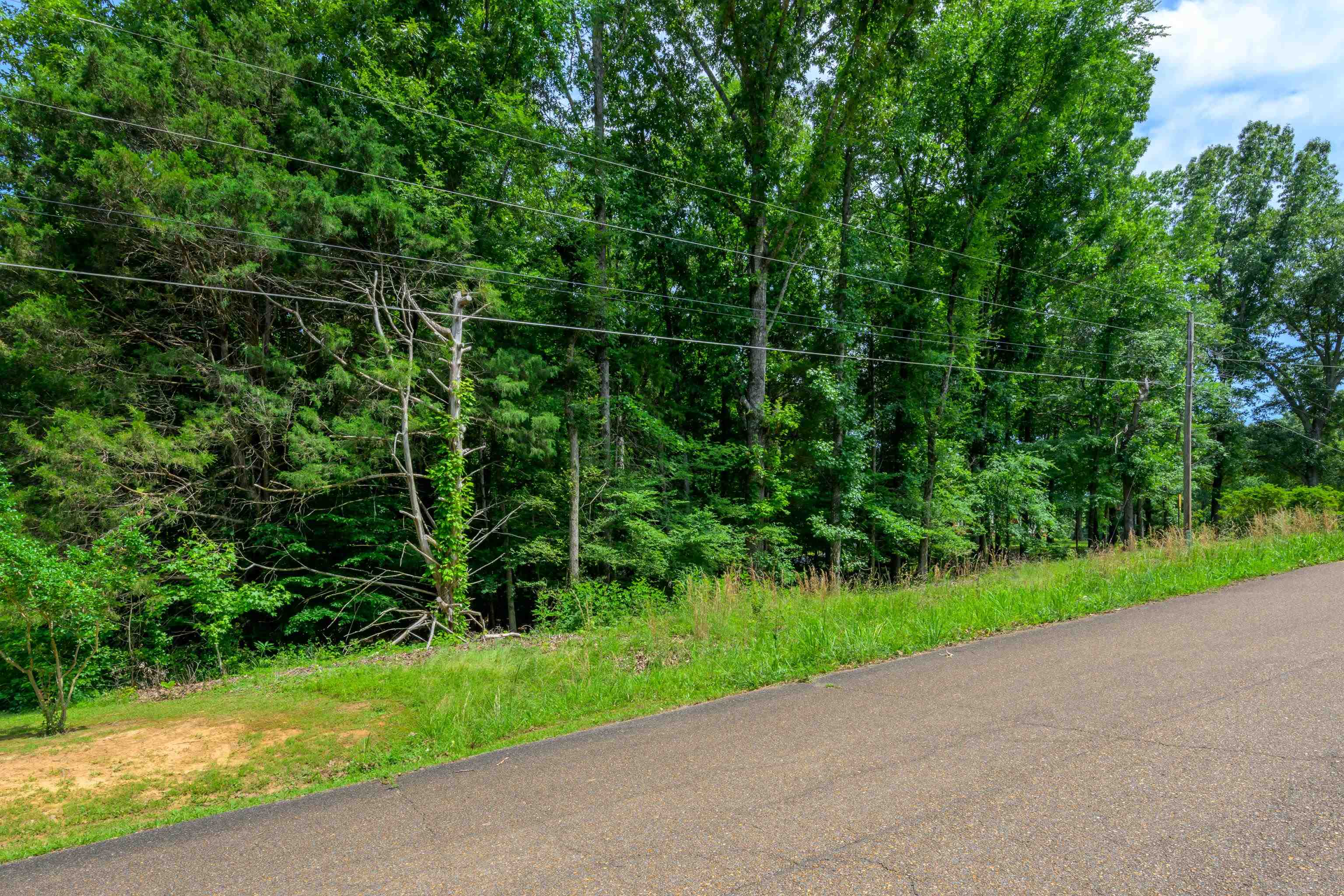 LOT 1 BEECH LOOP