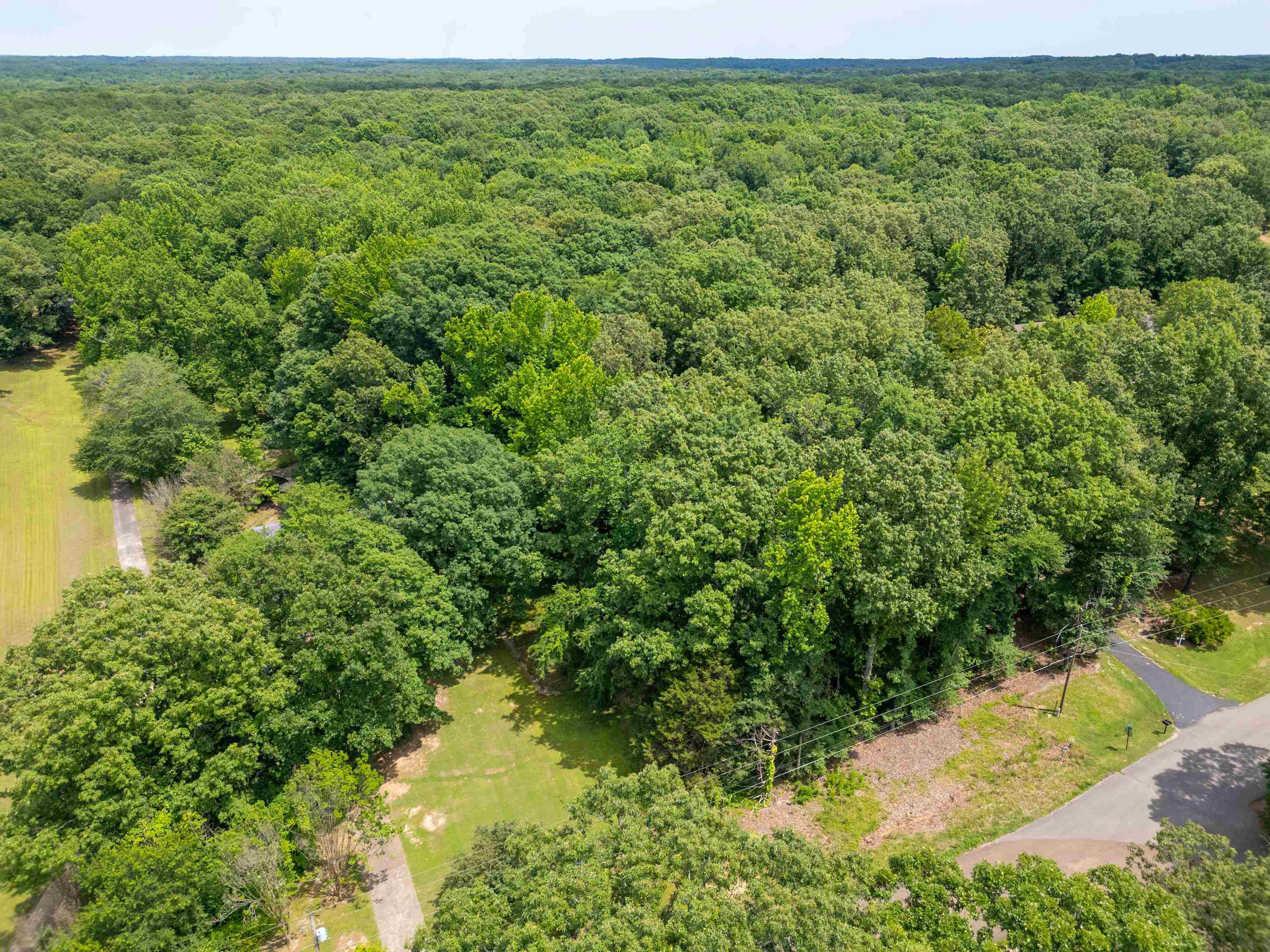 LOT 1 BEECH LOOP