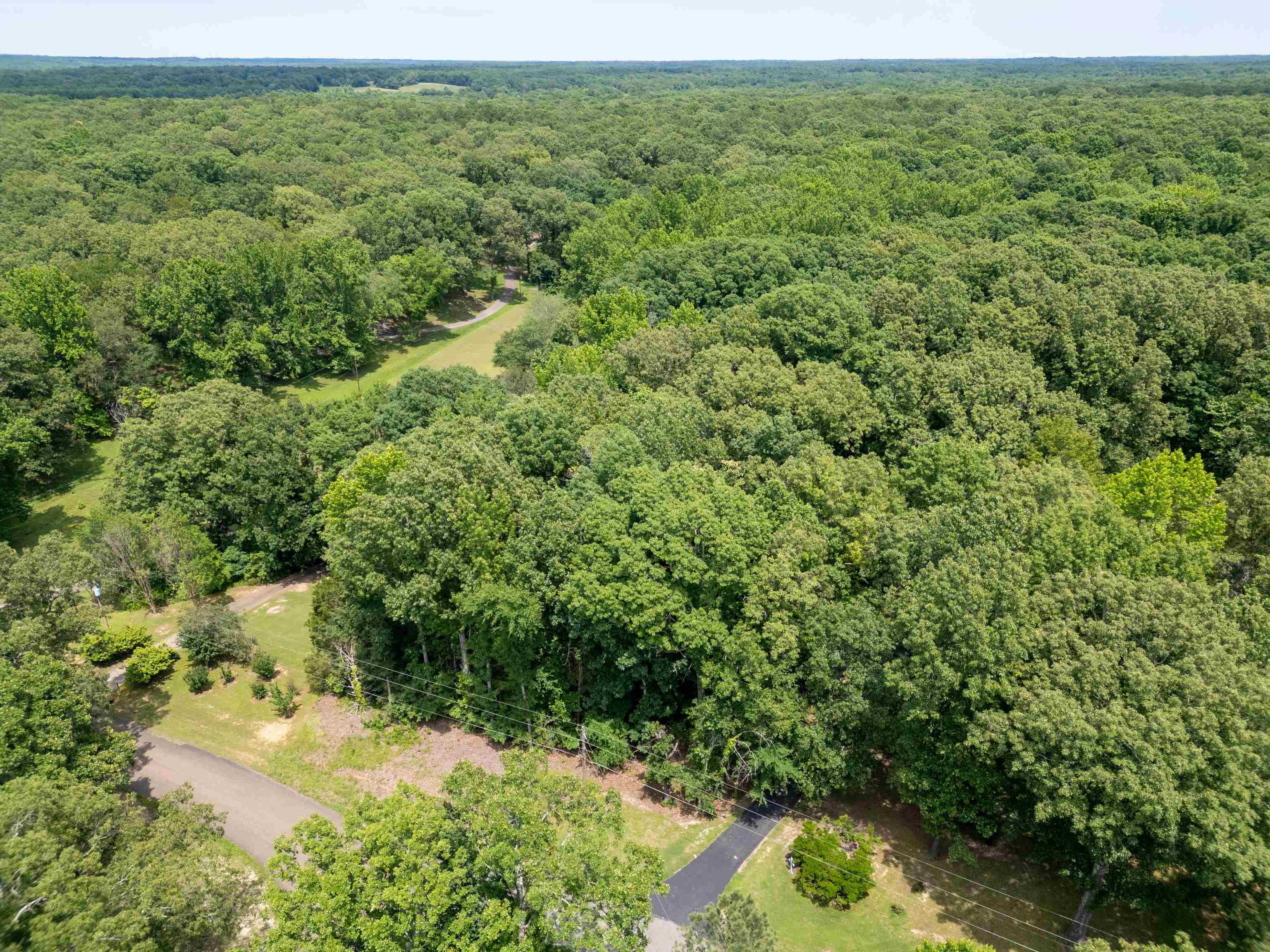LOT 1 BEECH LOOP