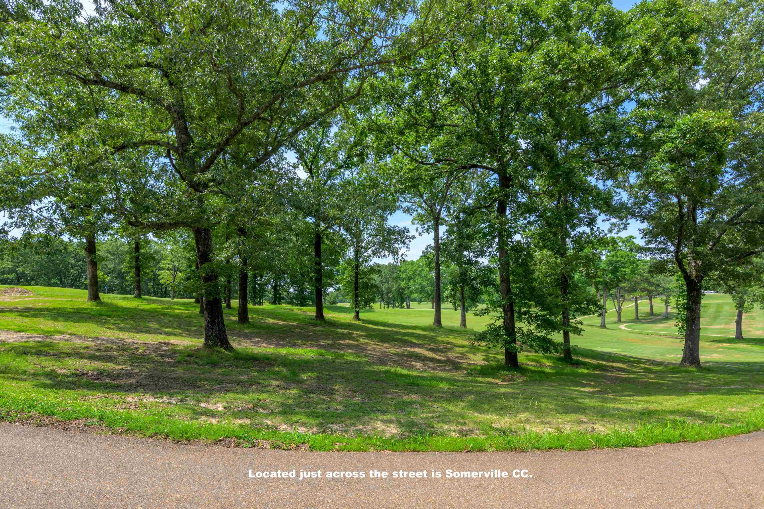 LOT 1 BEECH LOOP