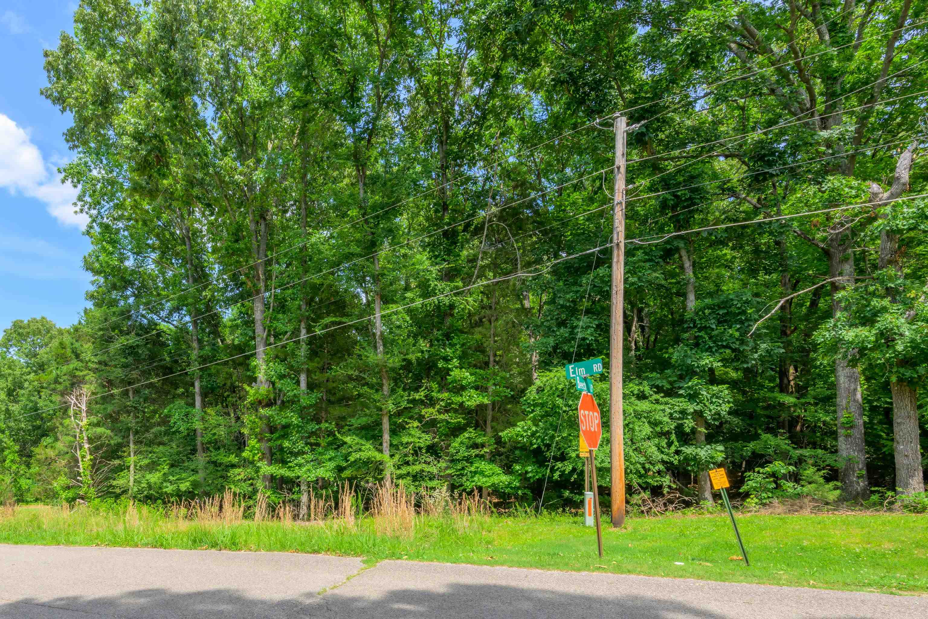 LOT 1 BEECH LOOP