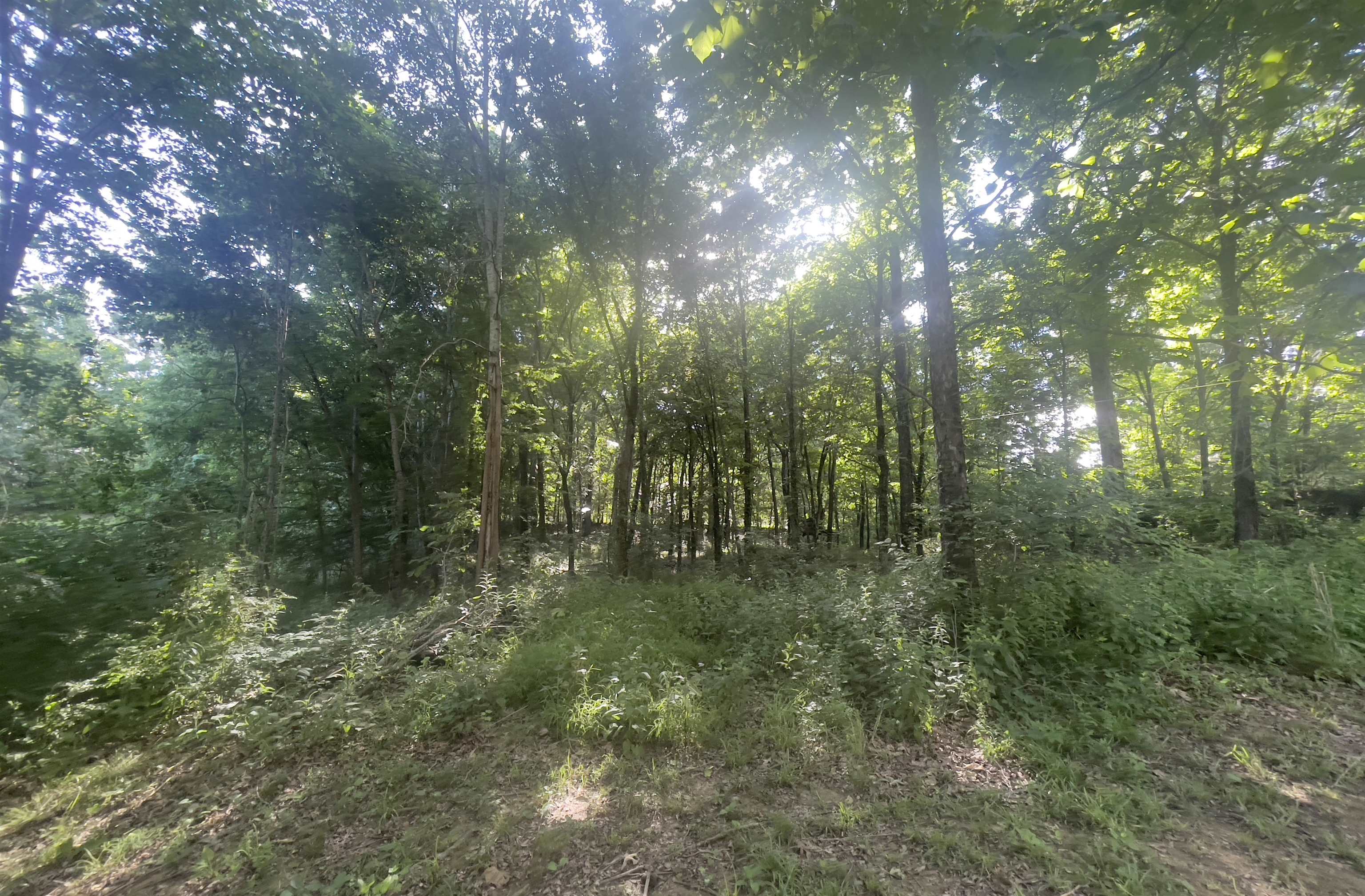 255 FAWN RD