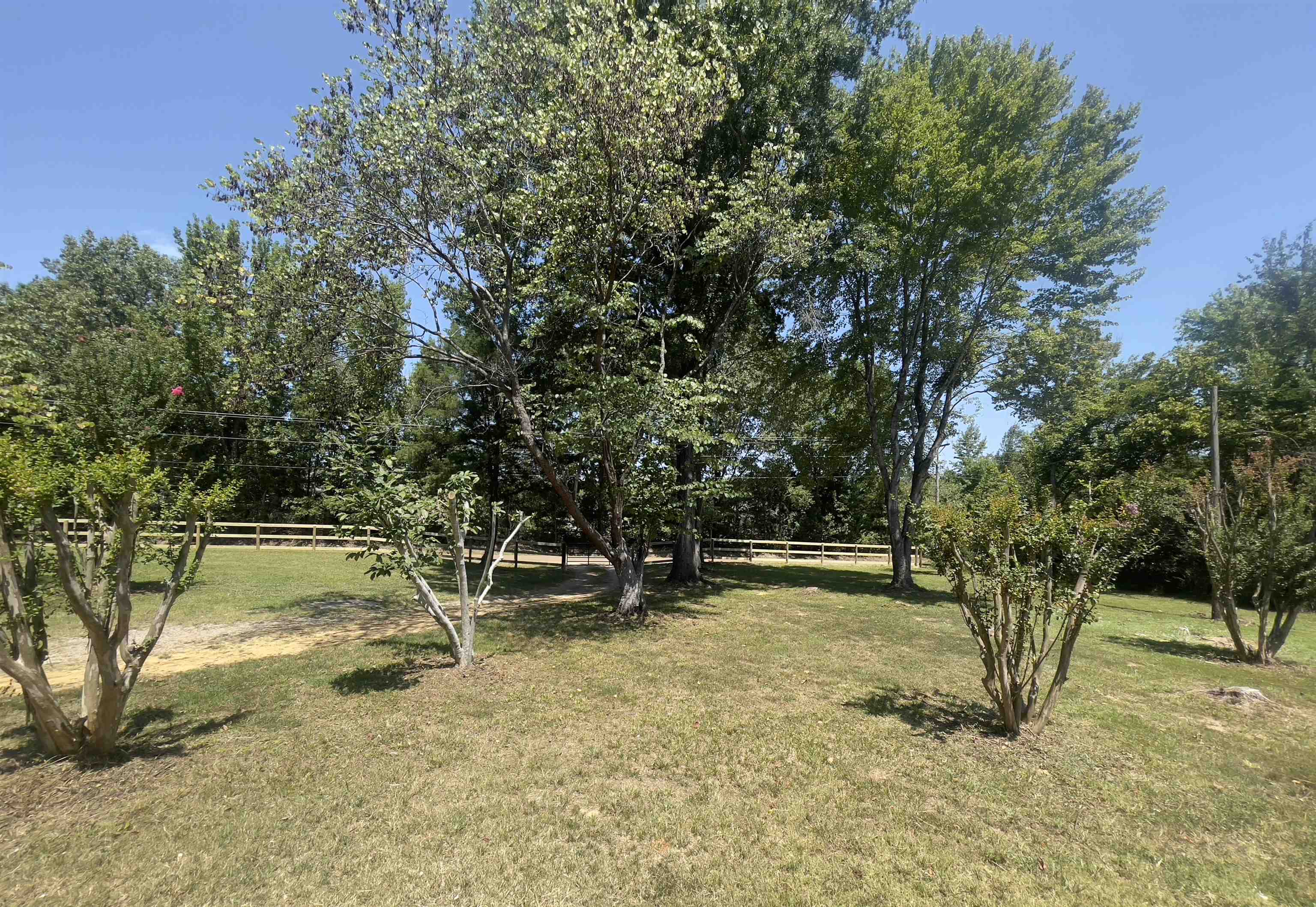 9185 FEATHERS CHAPEL RD