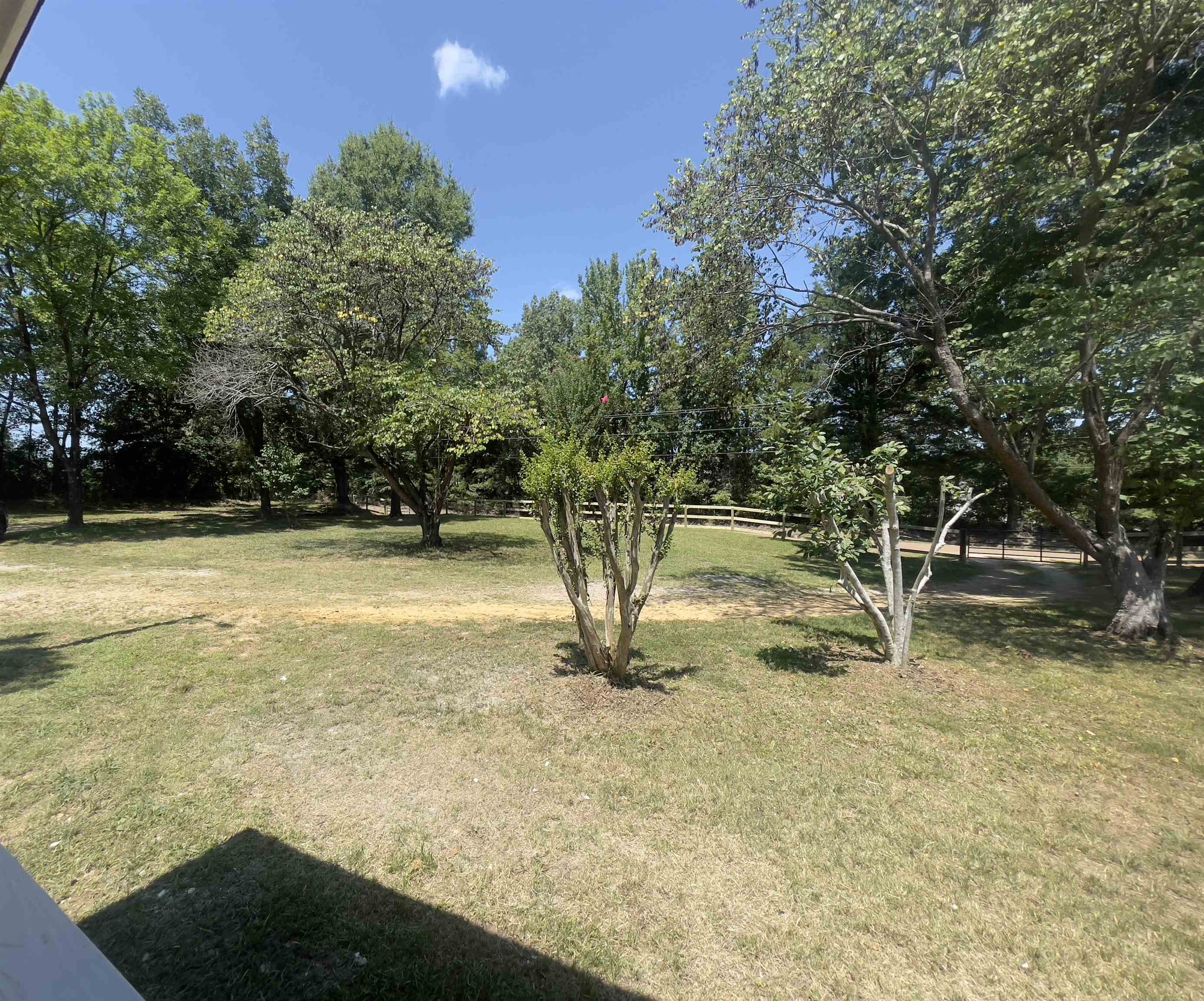 9185 FEATHERS CHAPEL RD