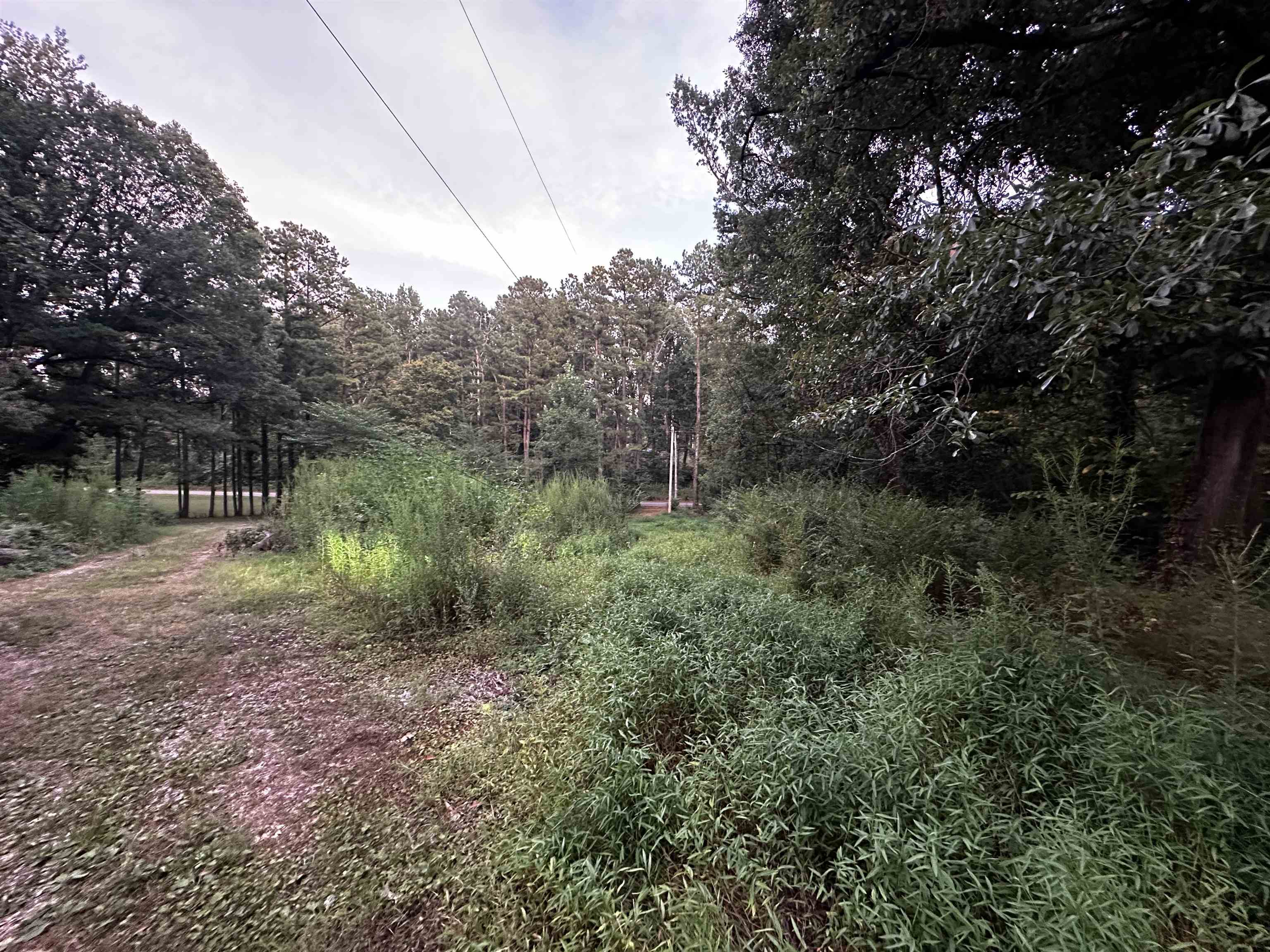 7980 PLEASANT RIDGE RD