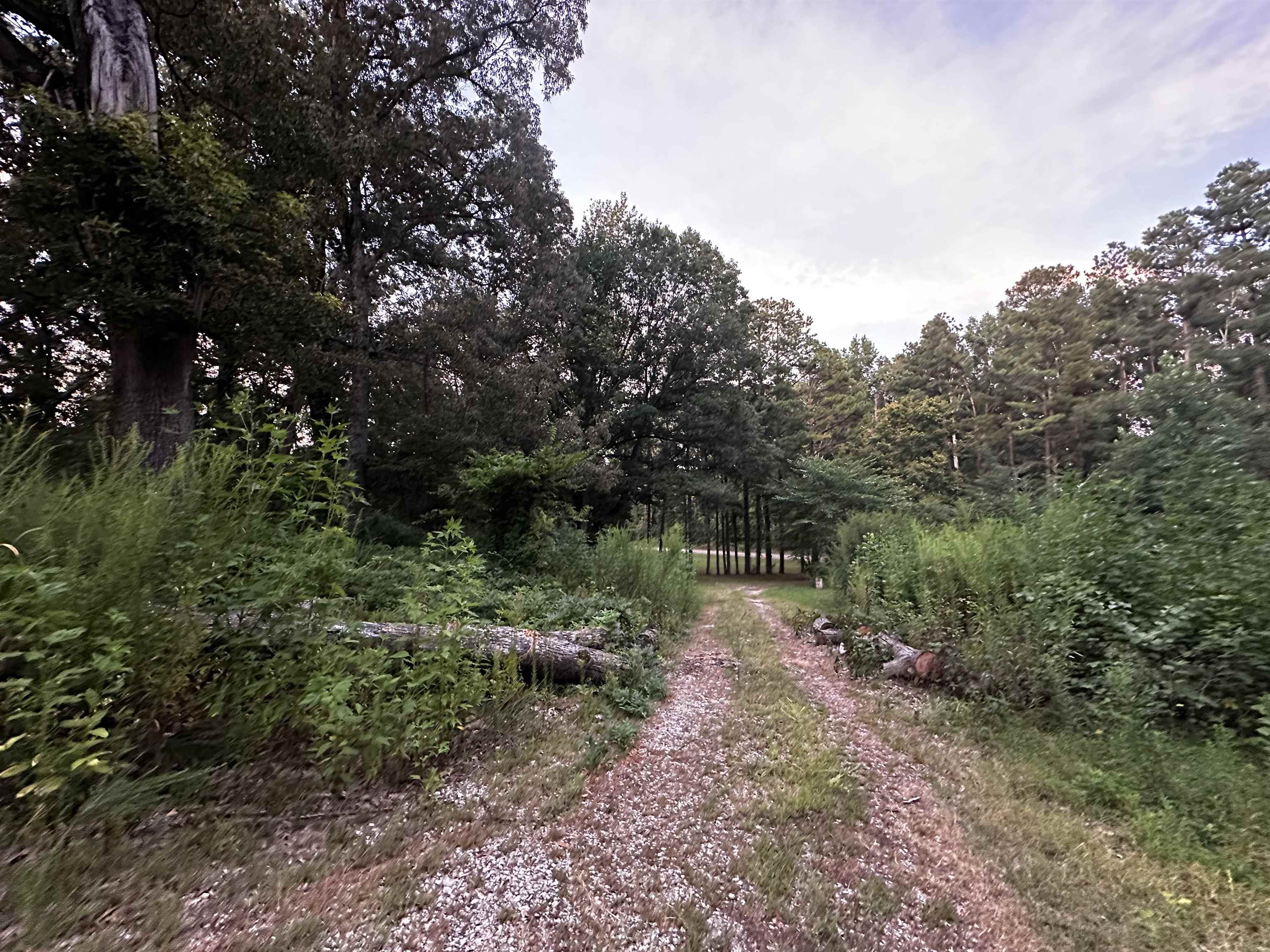 7980 PLEASANT RIDGE RD