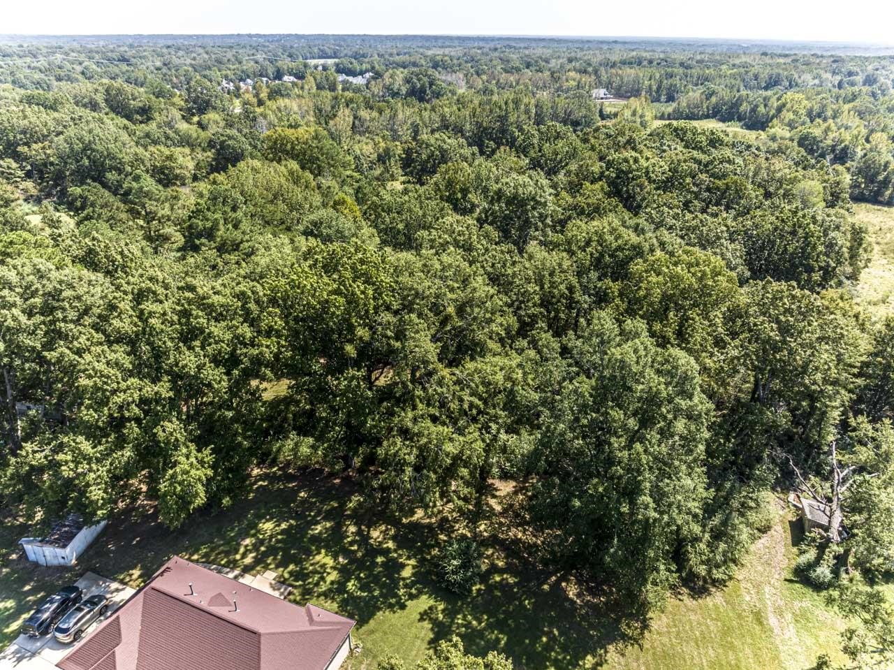 3915 RALEIGH-LAGRANGE DR