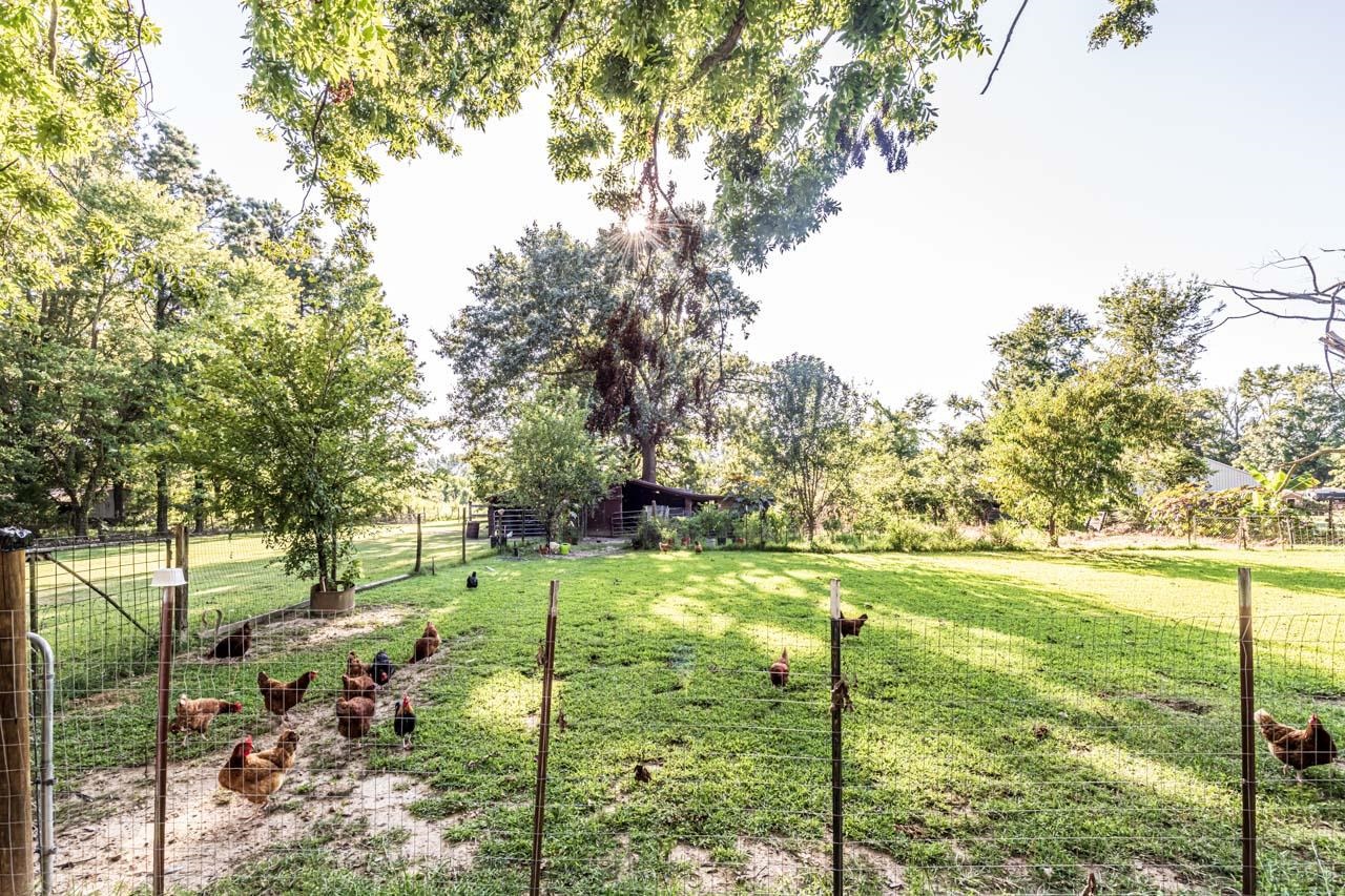 8495 QUITO RD