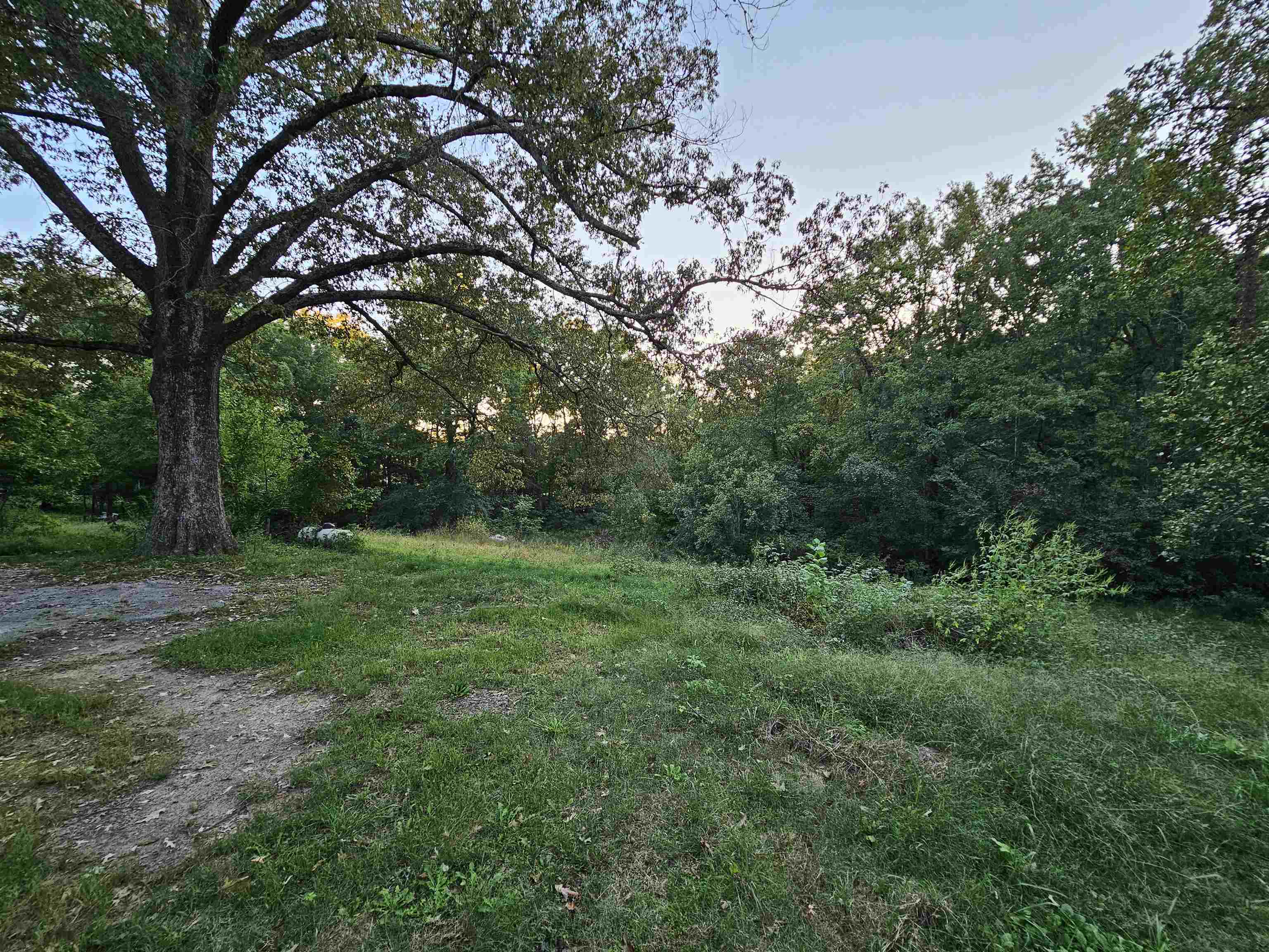 7255 WALSH RD