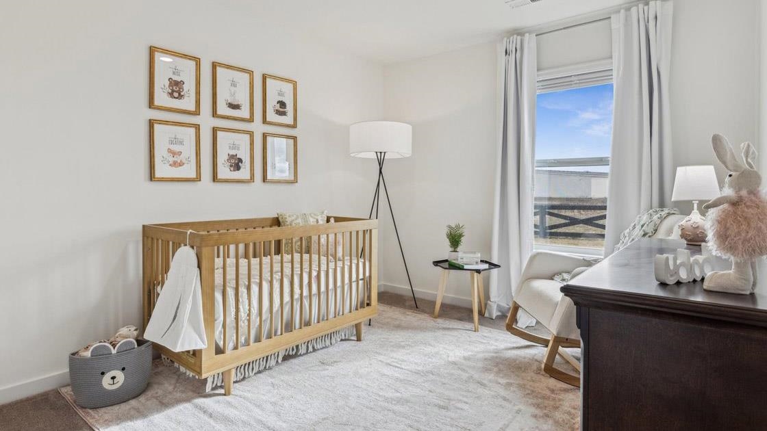 4510 ROYSTER CREEK DR N