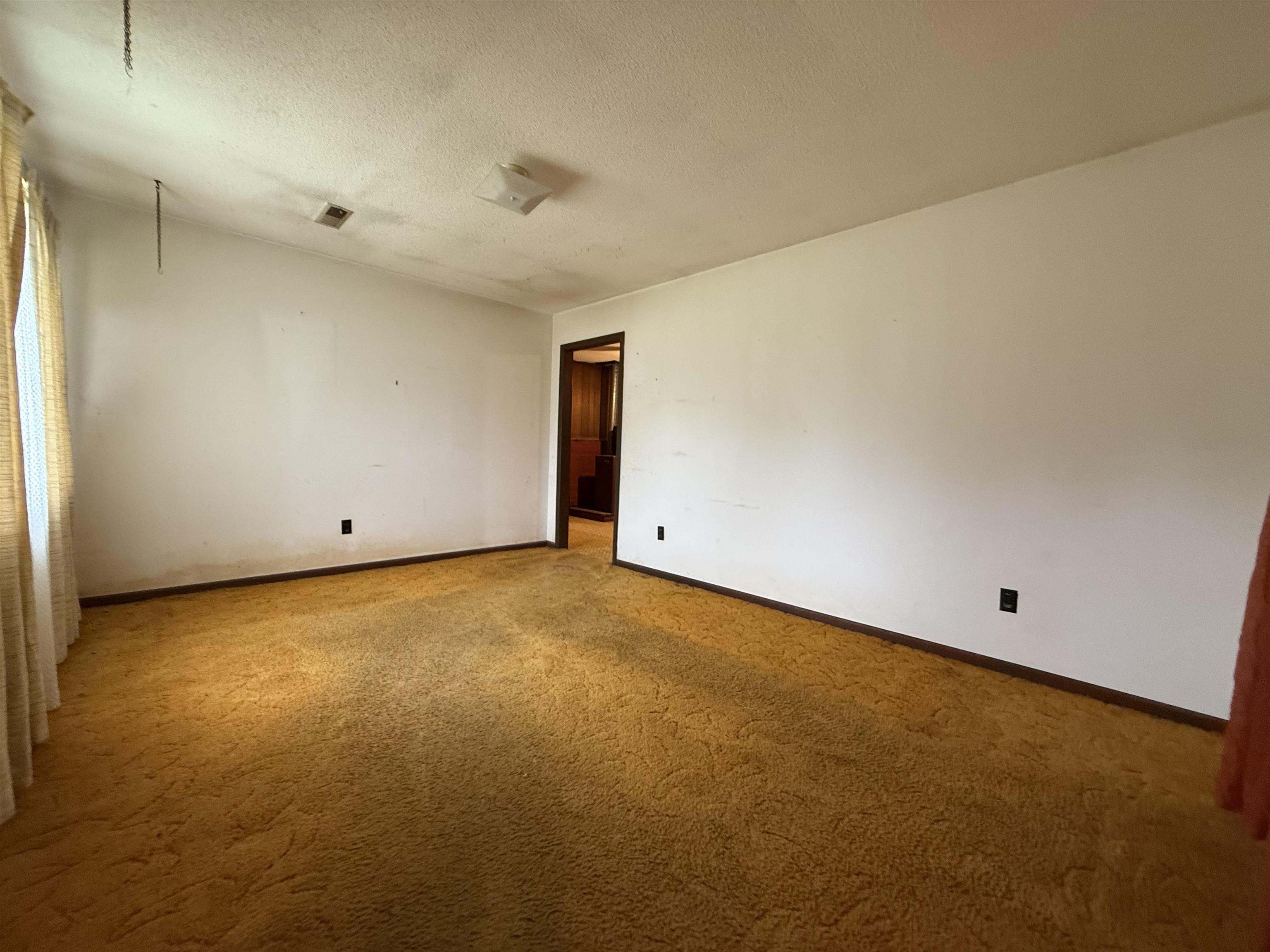 310 JANIE BIRD DR