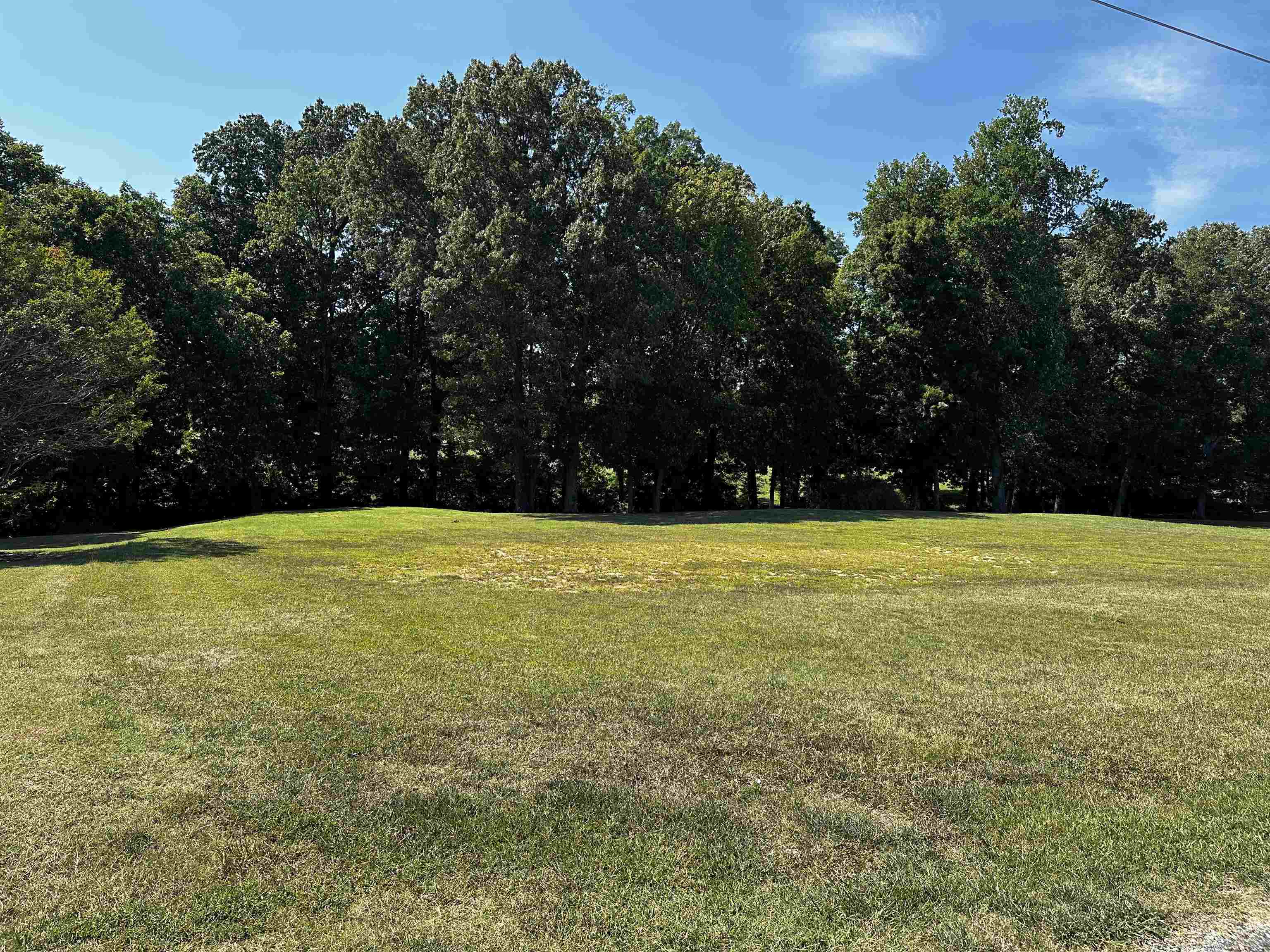 46 BLACKGUM RD