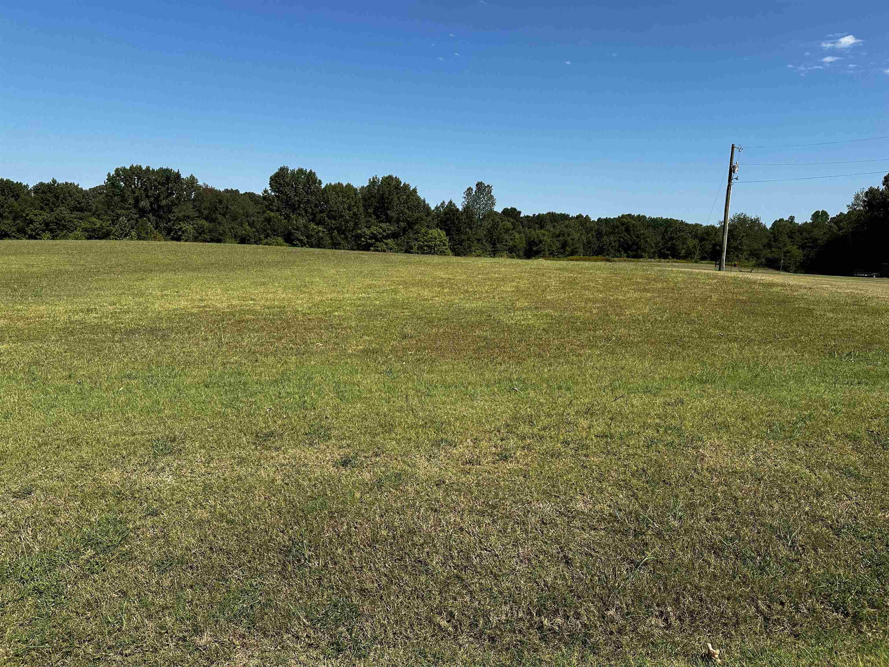 46 BLACKGUM RD