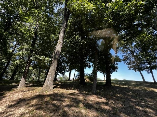 46 BLACKGUM RD