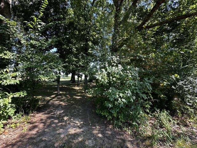46 BLACKGUM RD