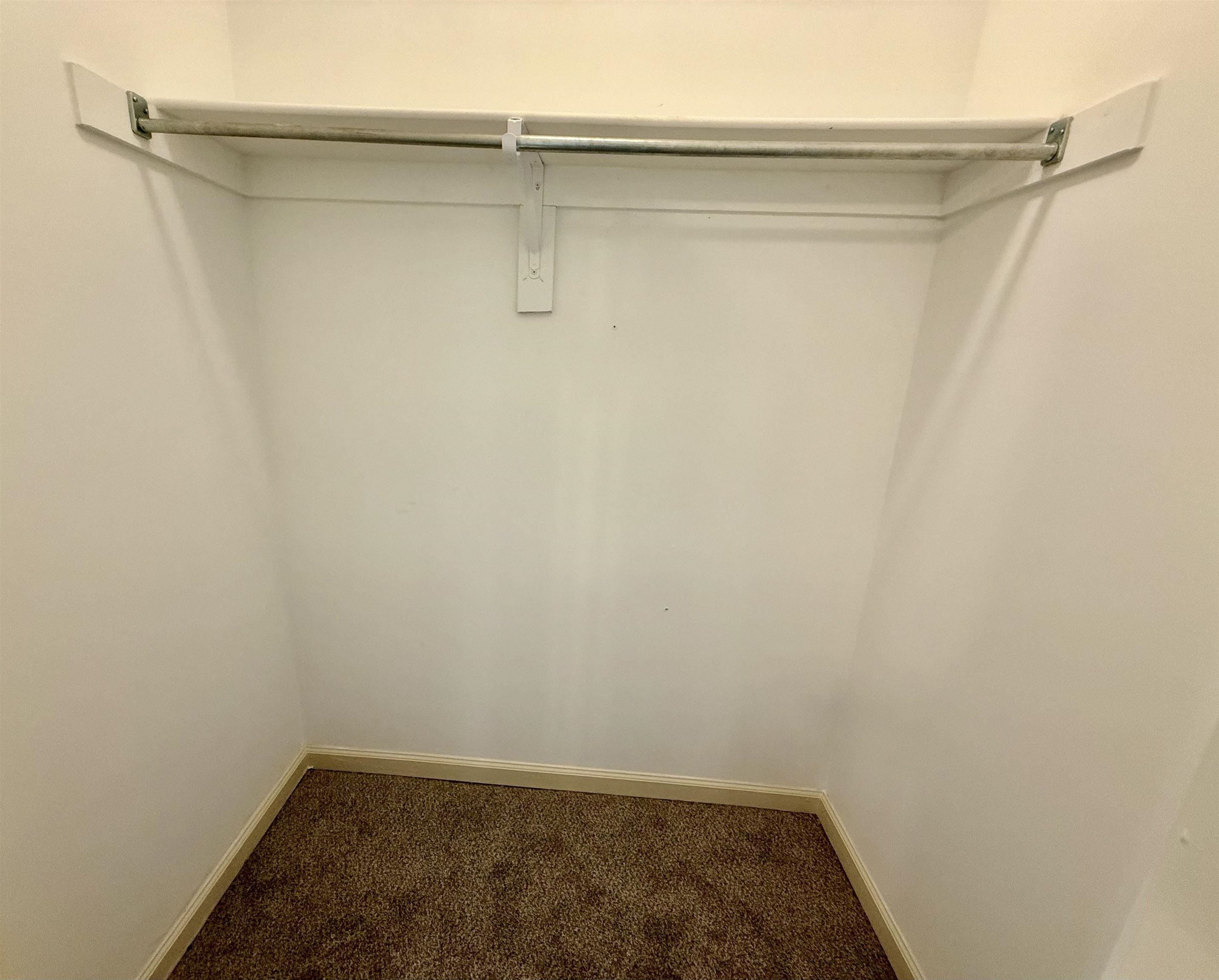 245 MOSSY SPRINGS DR