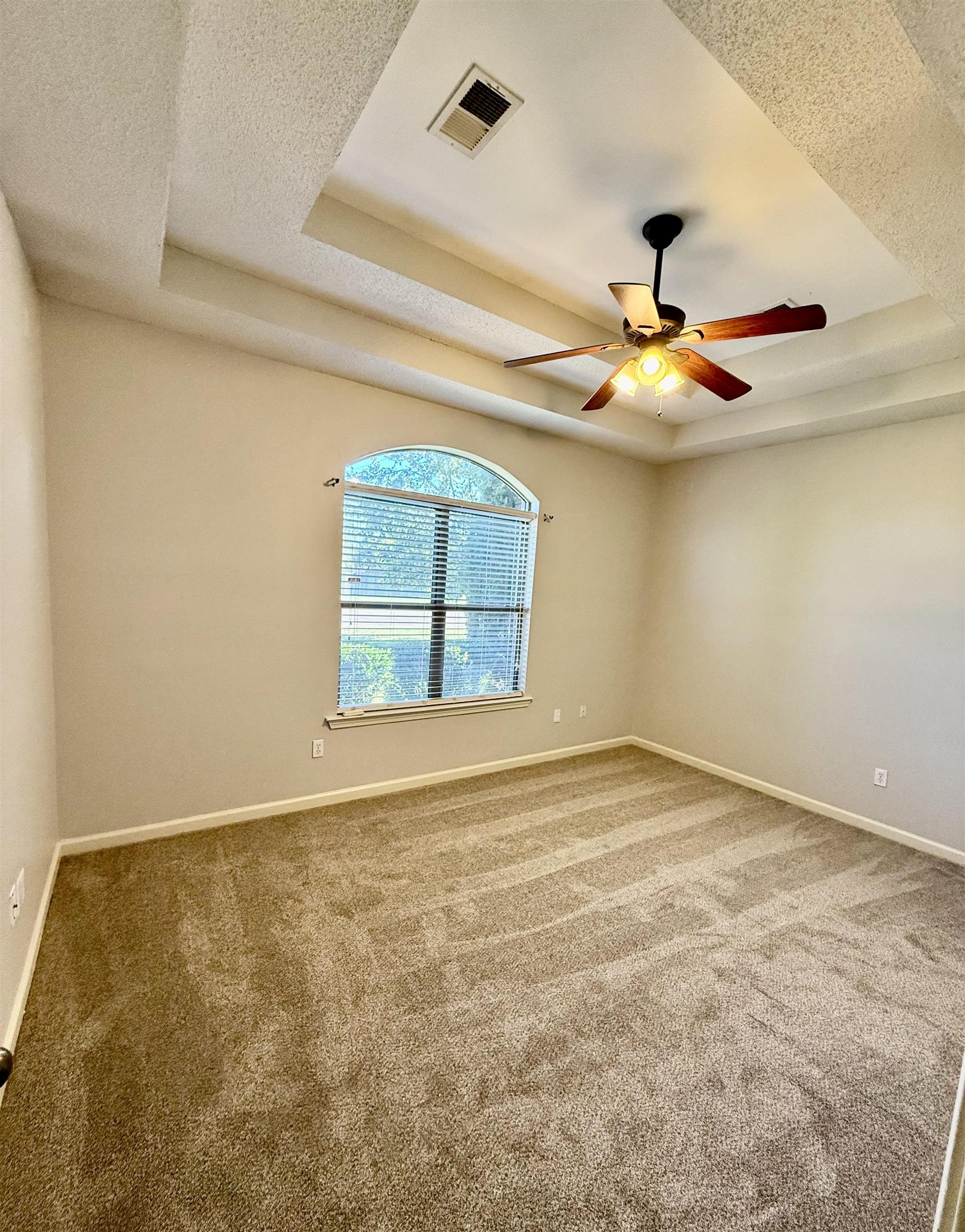 245 MOSSY SPRINGS DR