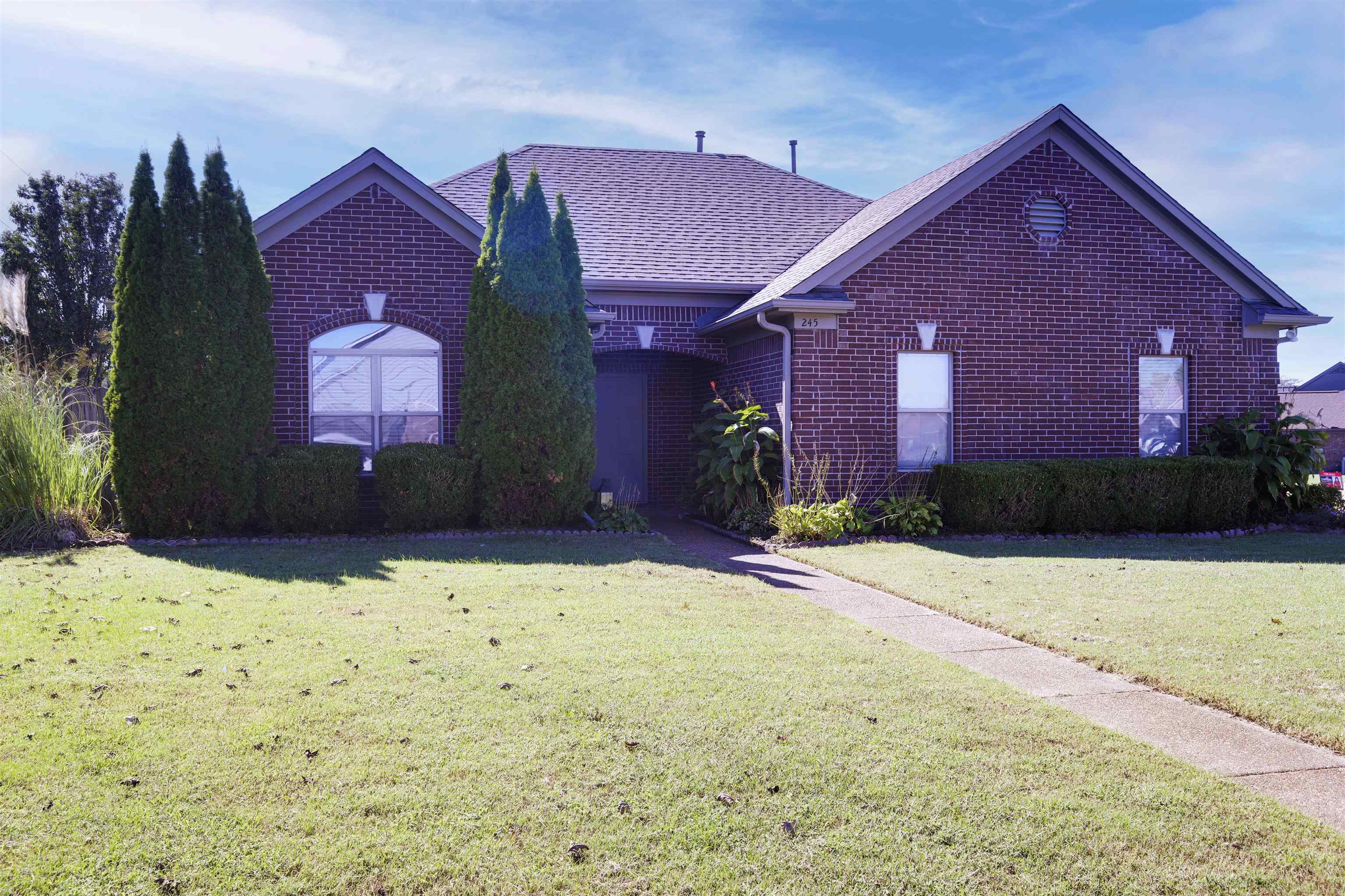 245 MOSSY SPRINGS DR
