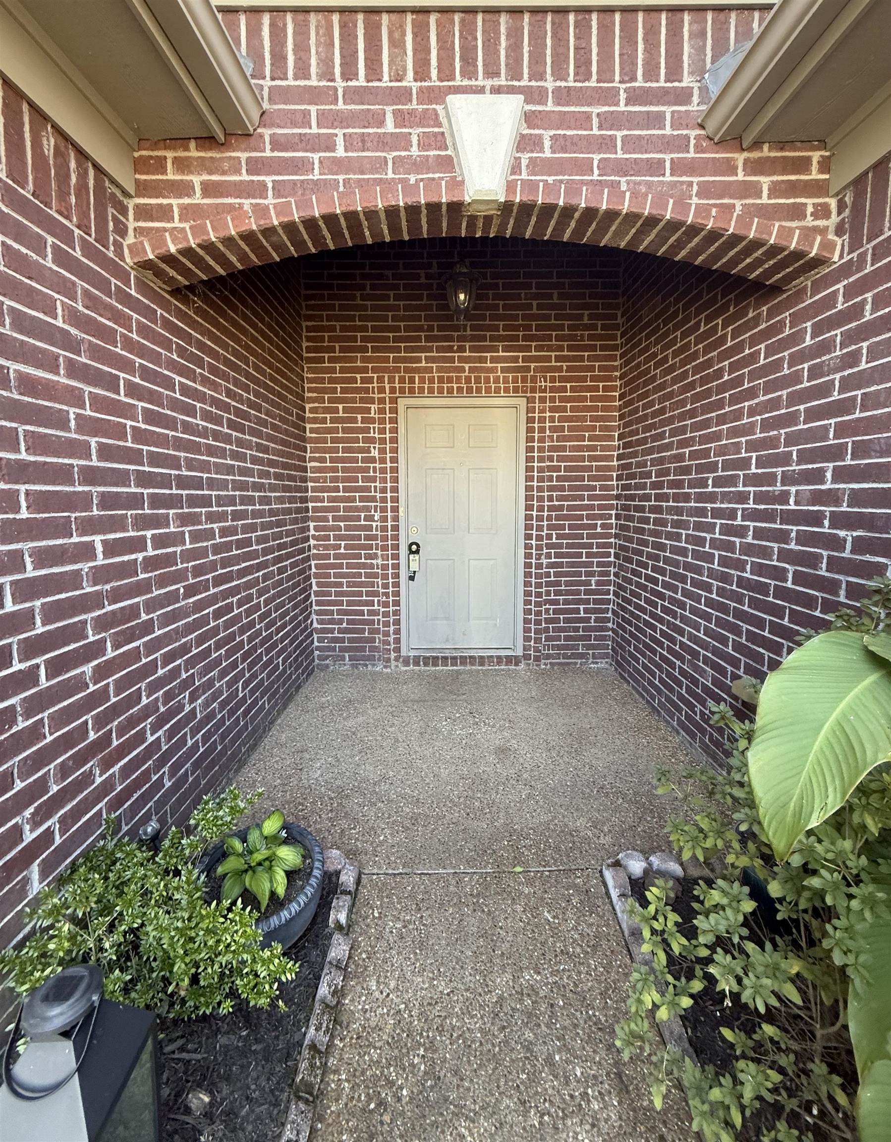 245 MOSSY SPRINGS DR