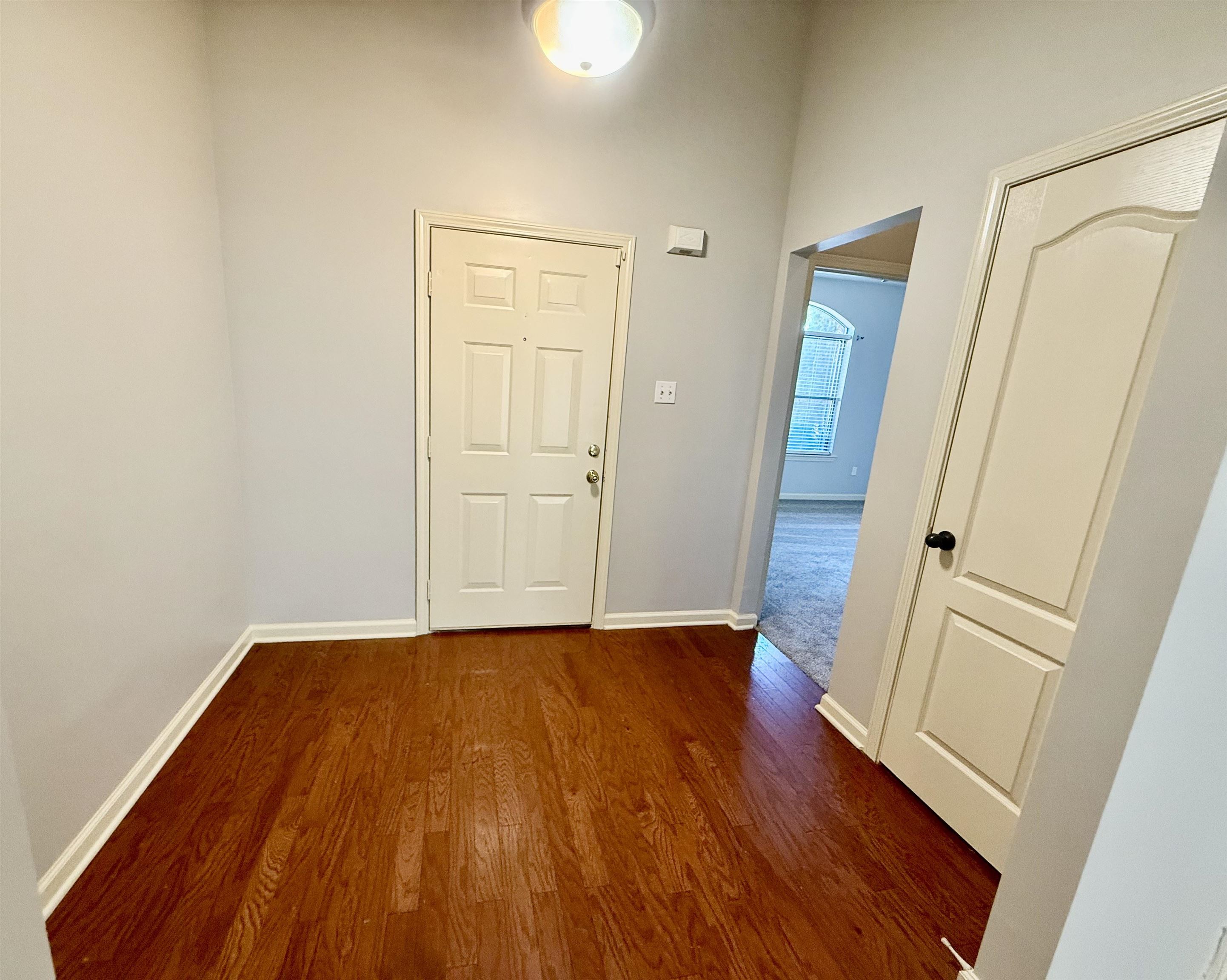 245 MOSSY SPRINGS DR