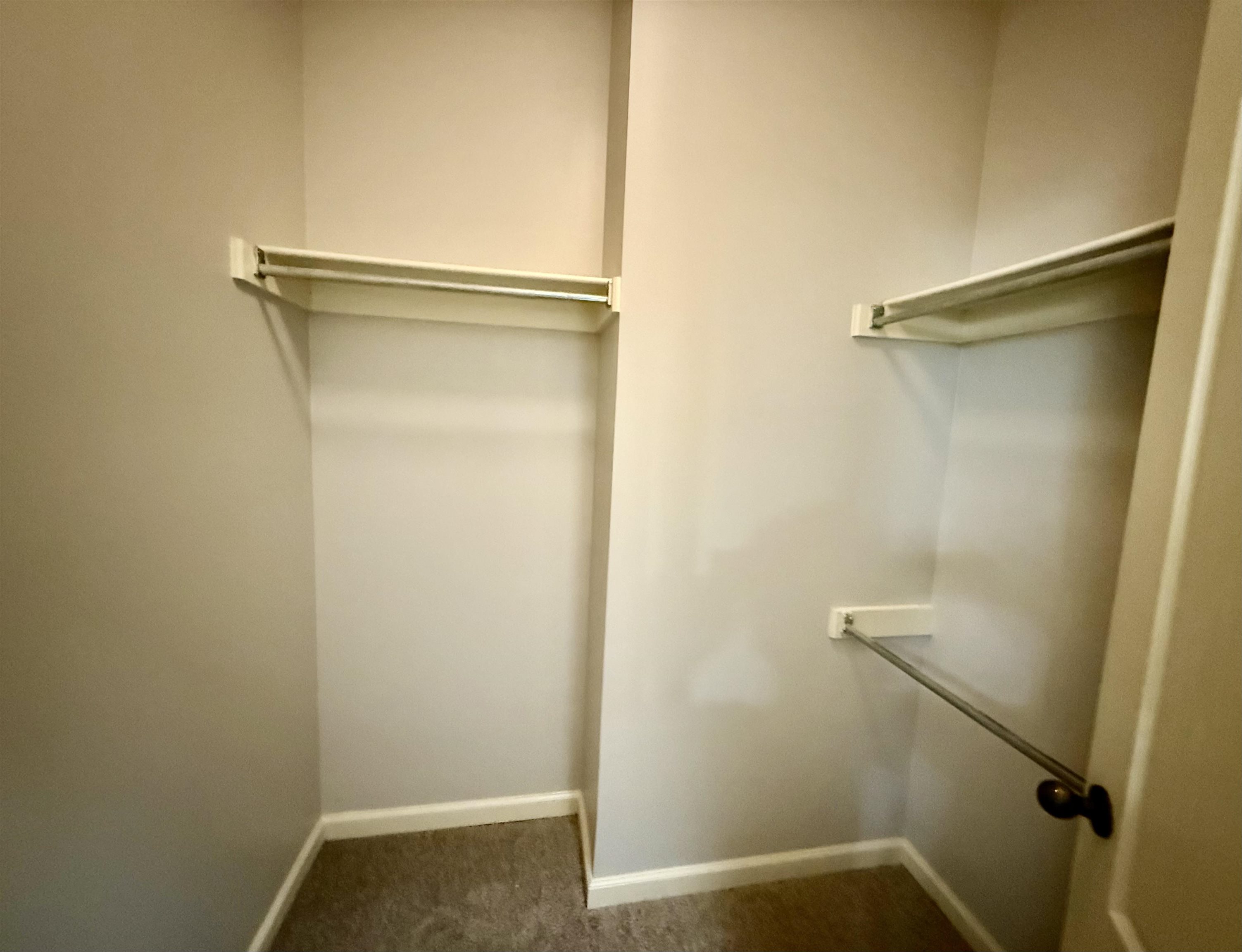 245 MOSSY SPRINGS DR