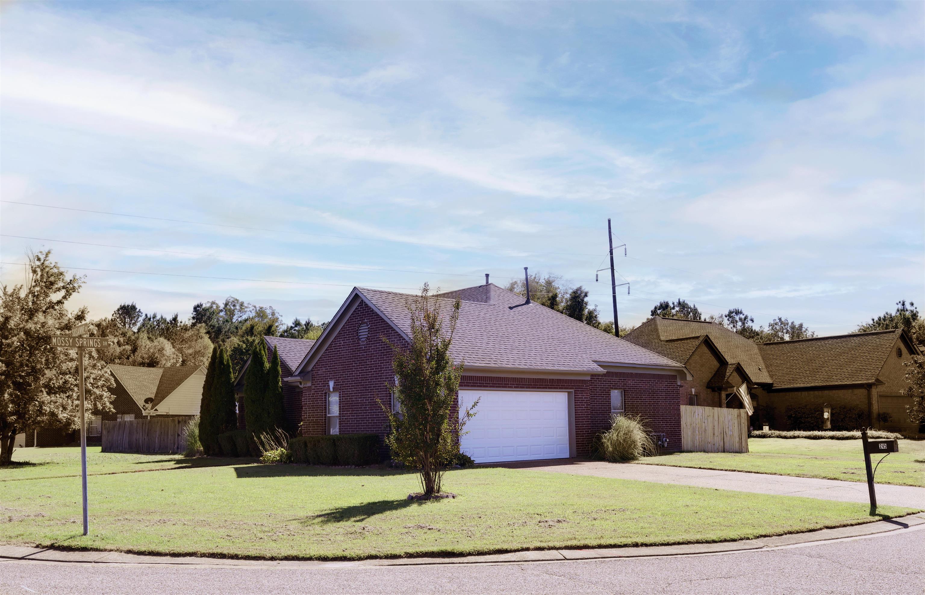 245 MOSSY SPRINGS DR