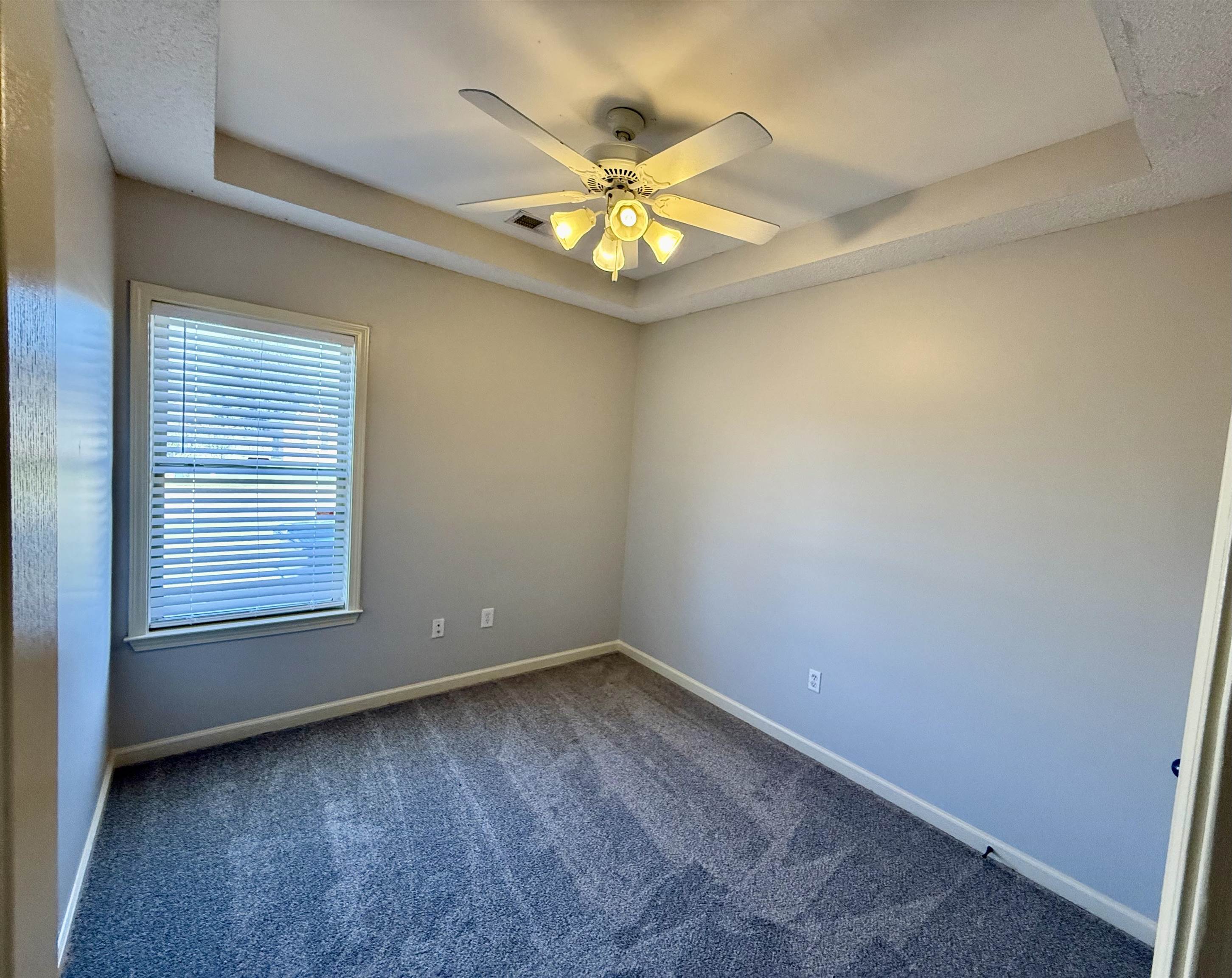 245 MOSSY SPRINGS DR