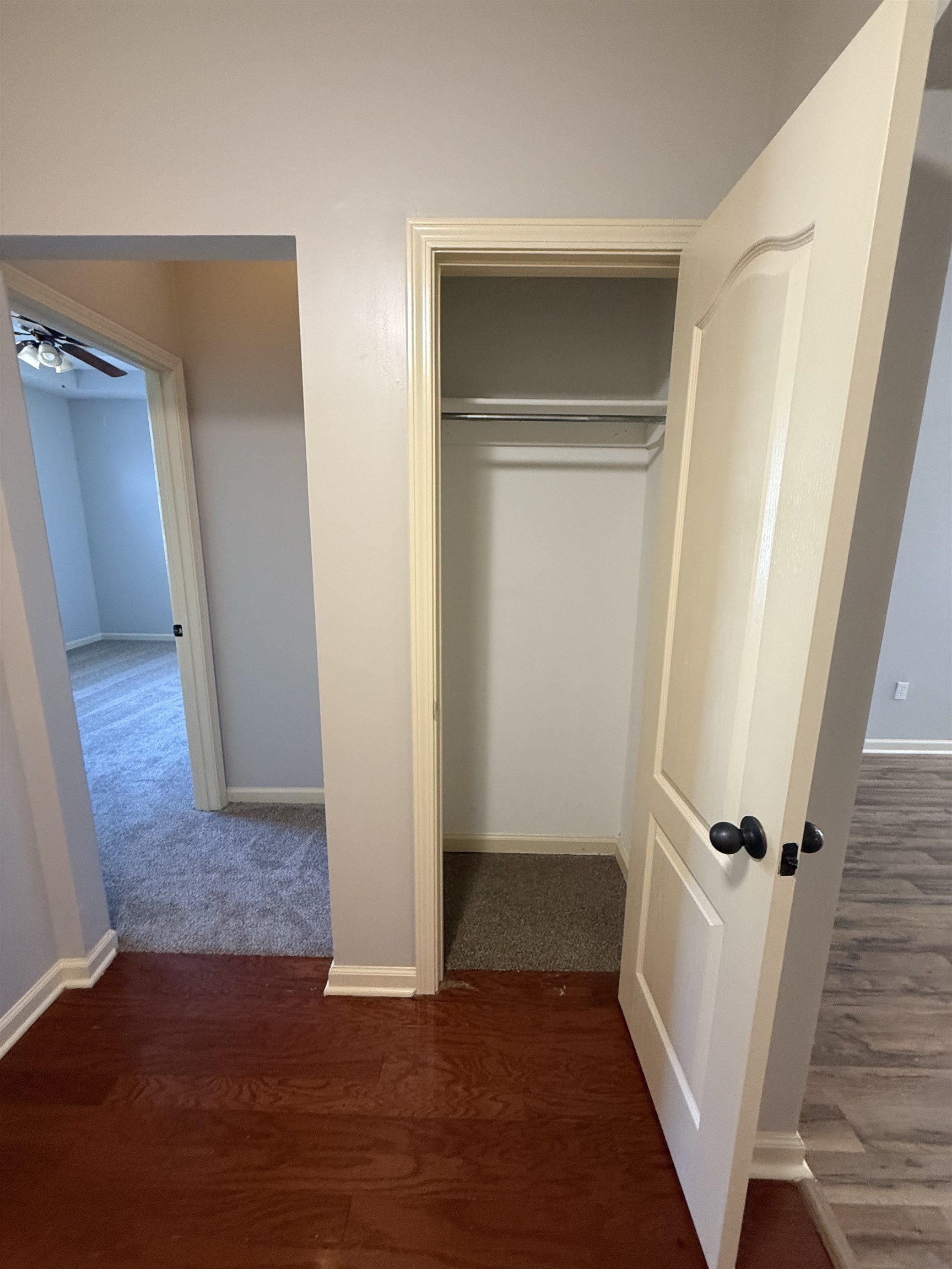 245 MOSSY SPRINGS DR