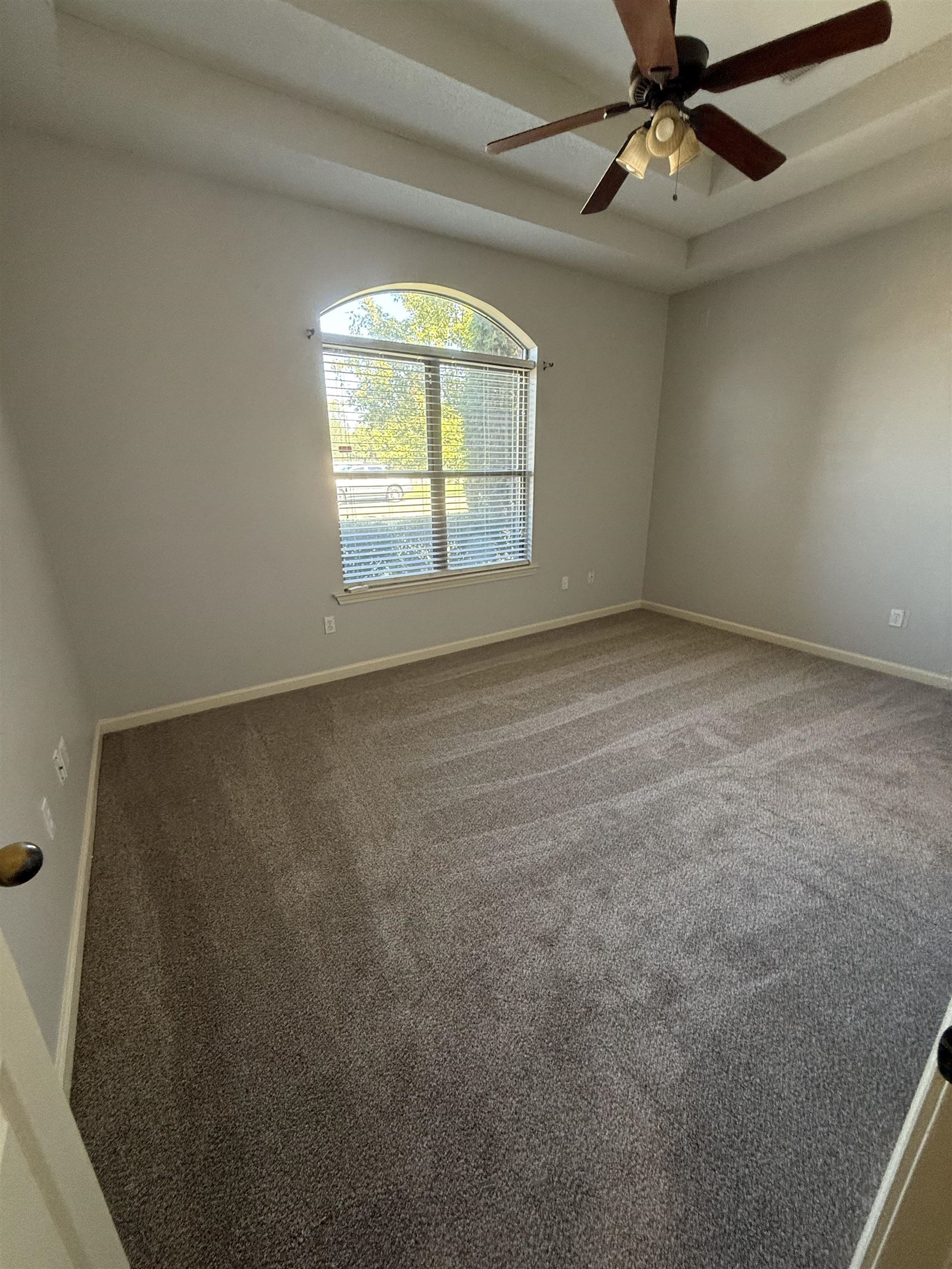 245 MOSSY SPRINGS DR