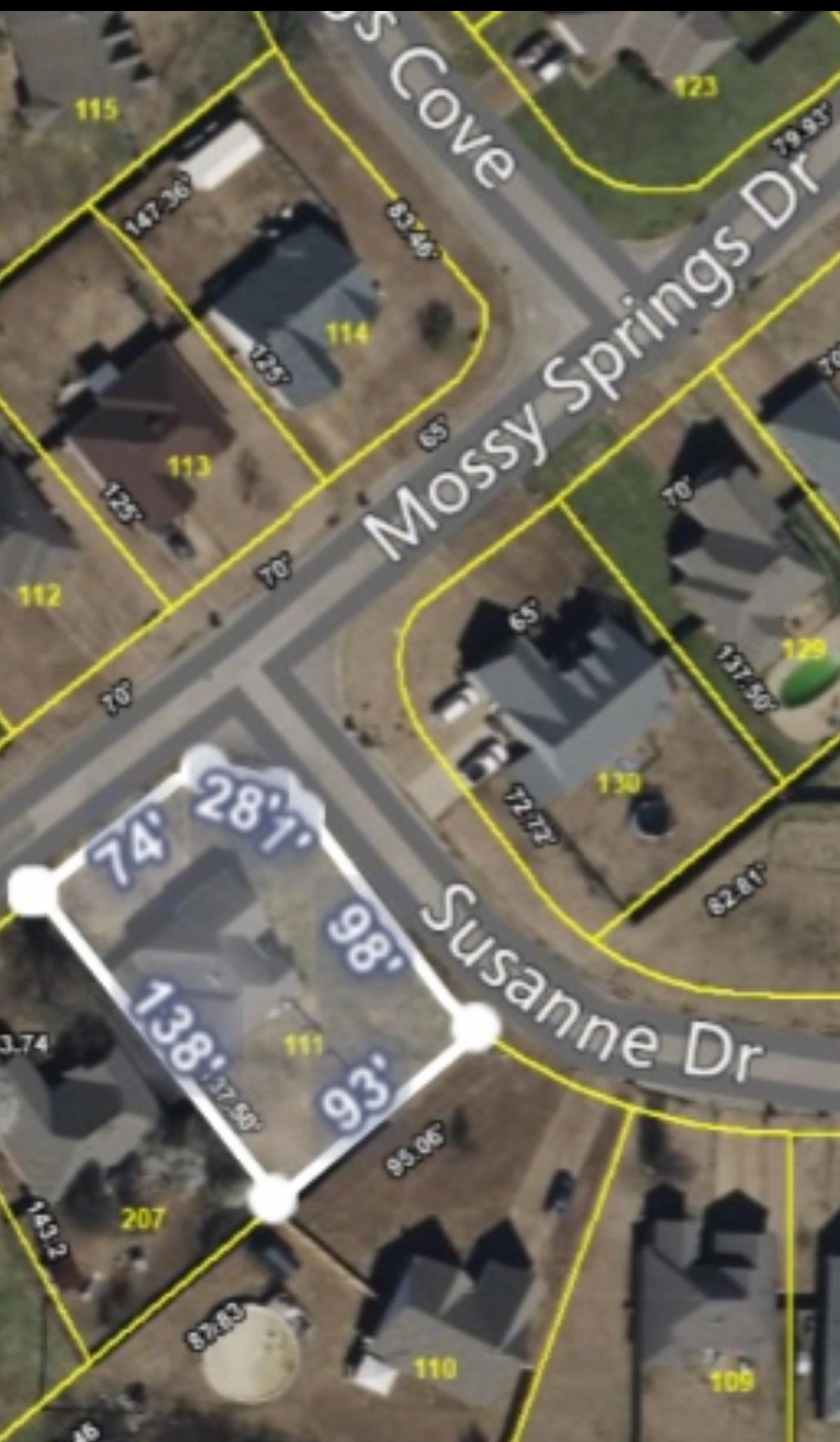 245 MOSSY SPRINGS DR