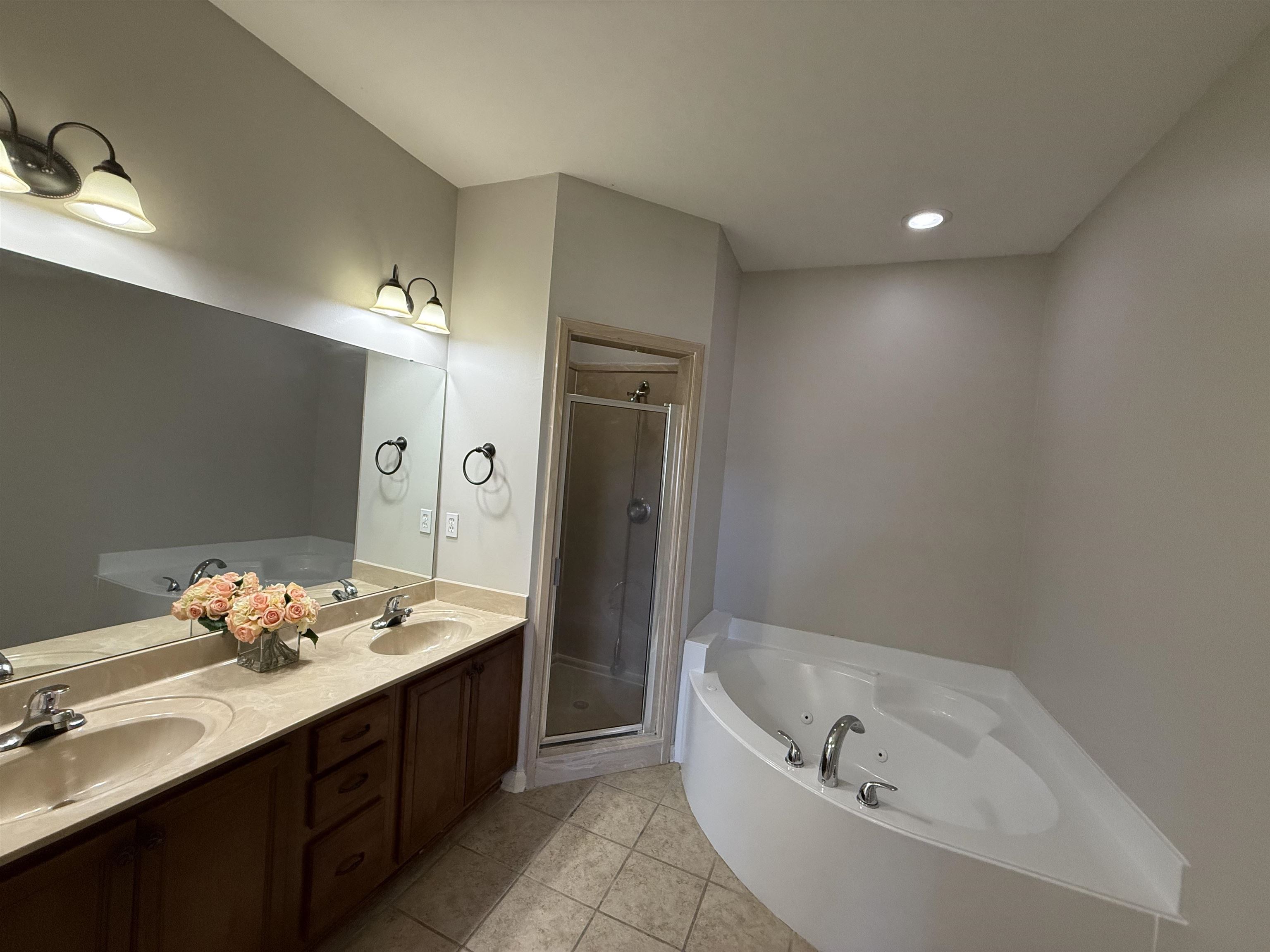 245 MOSSY SPRINGS DR
