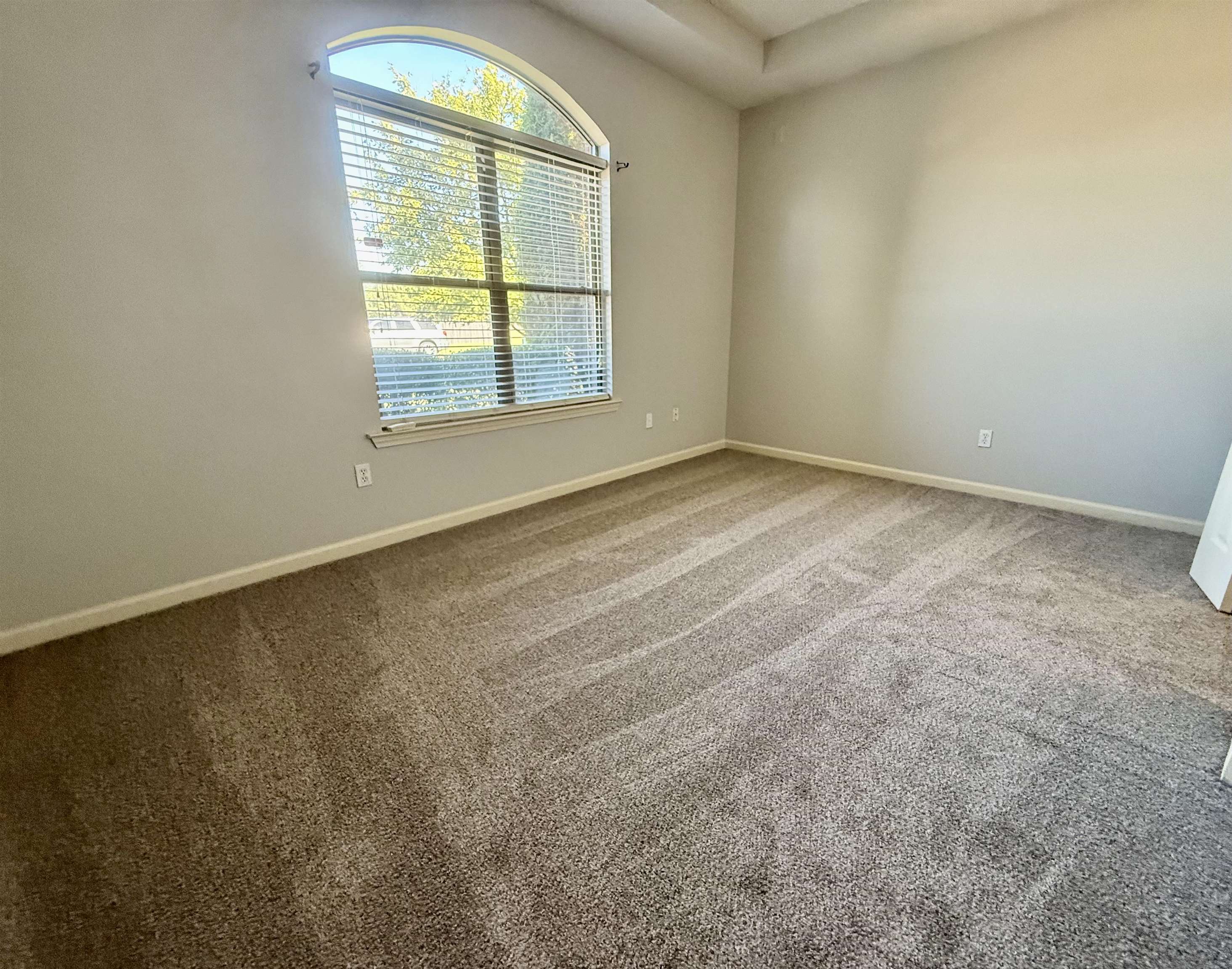 245 MOSSY SPRINGS DR