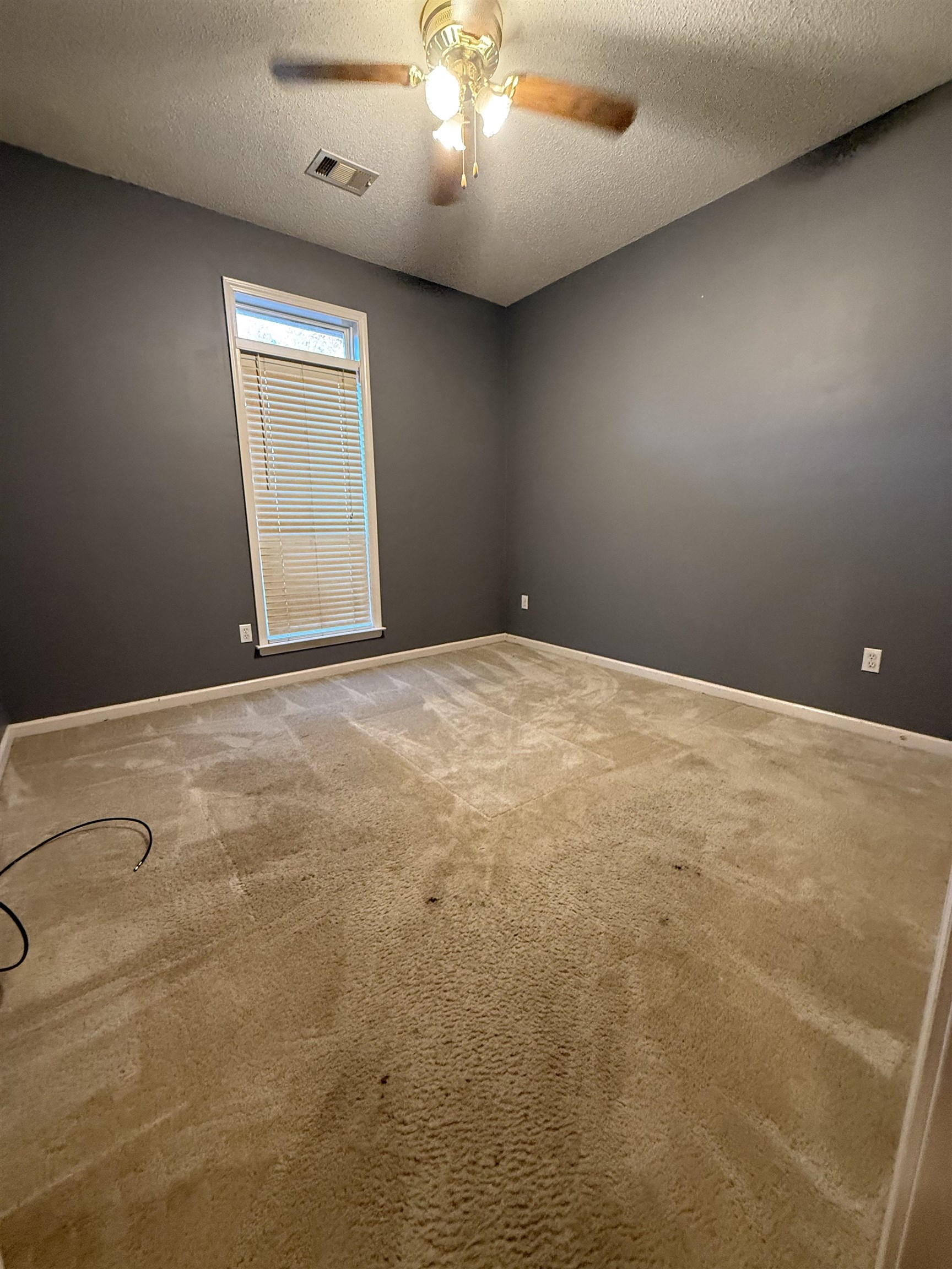 30 COUNTRY FOREST DR