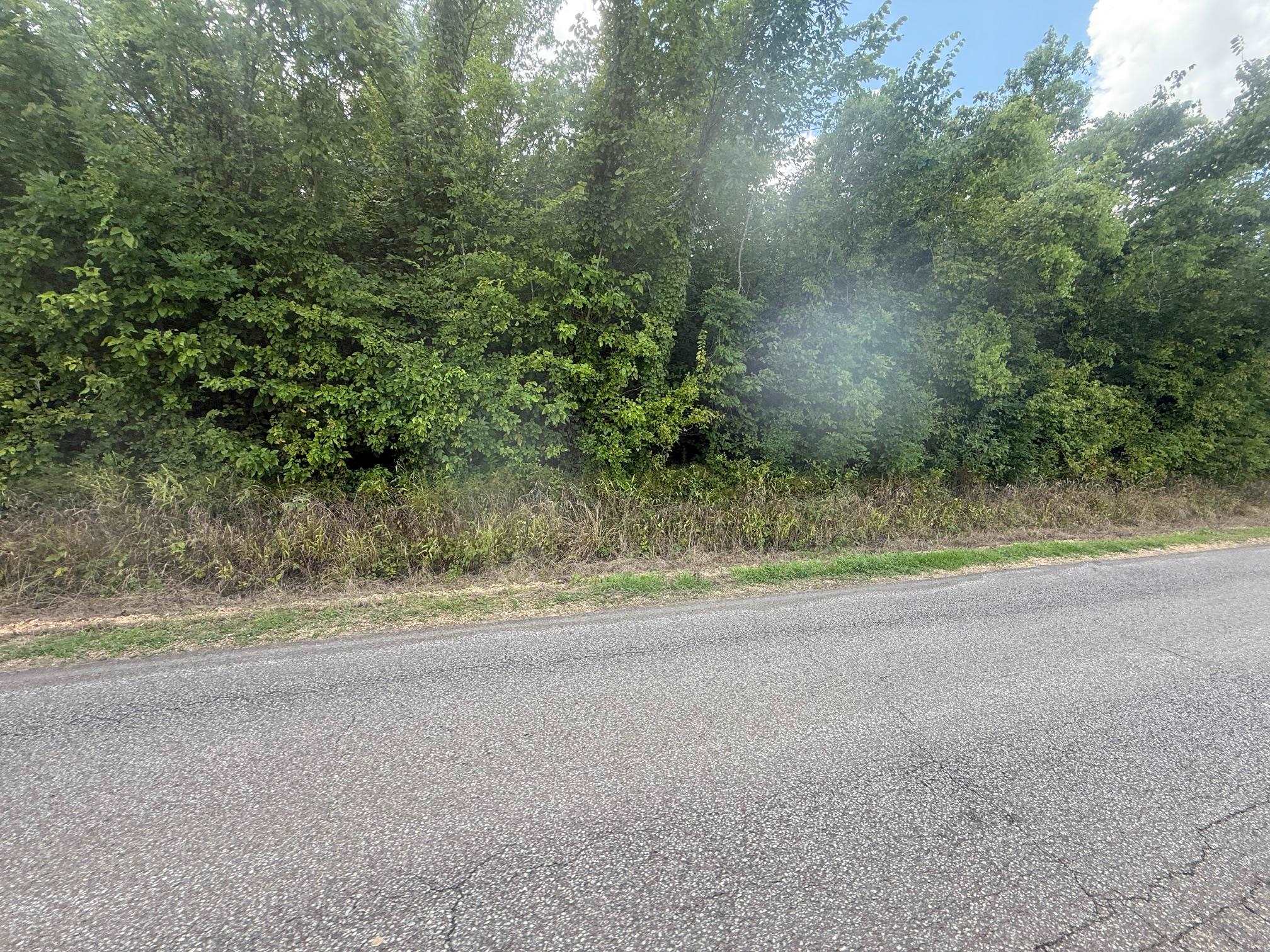 TRACT 2 COFFEE LANDING RD