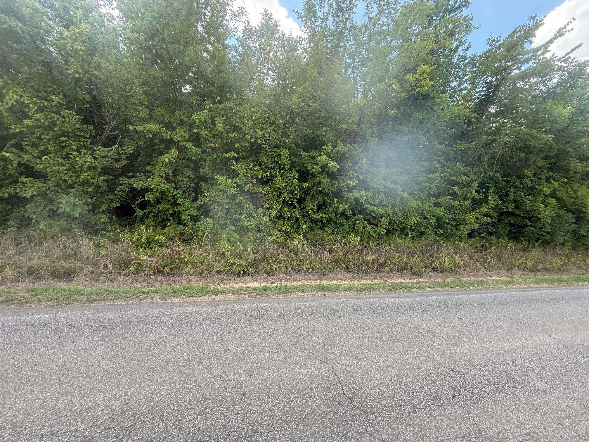 TRACT 2 COFFEE LANDING RD