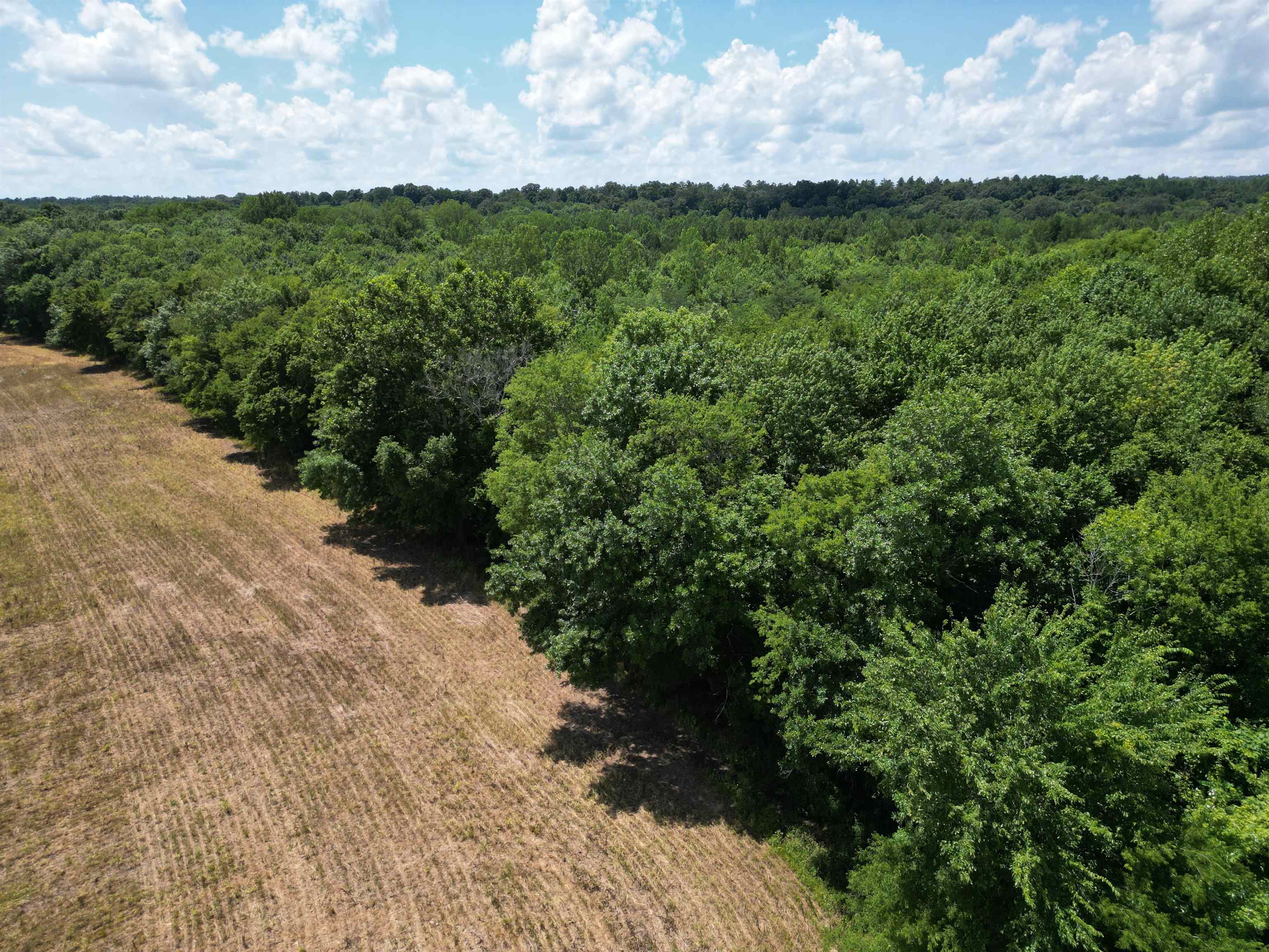 TRACT 3 COFFEE LANDING RD