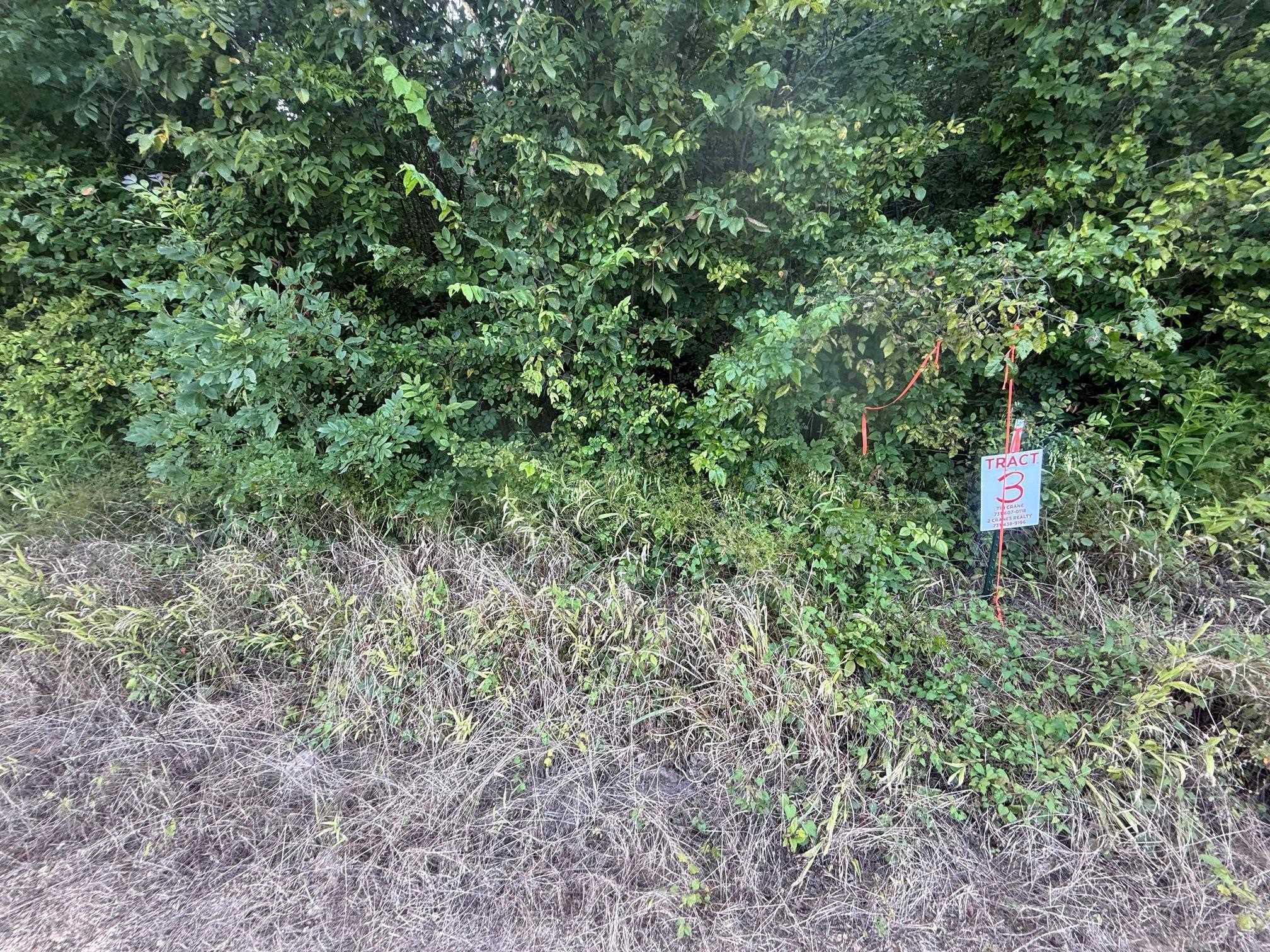 TRACT 3 COFFEE LANDING RD