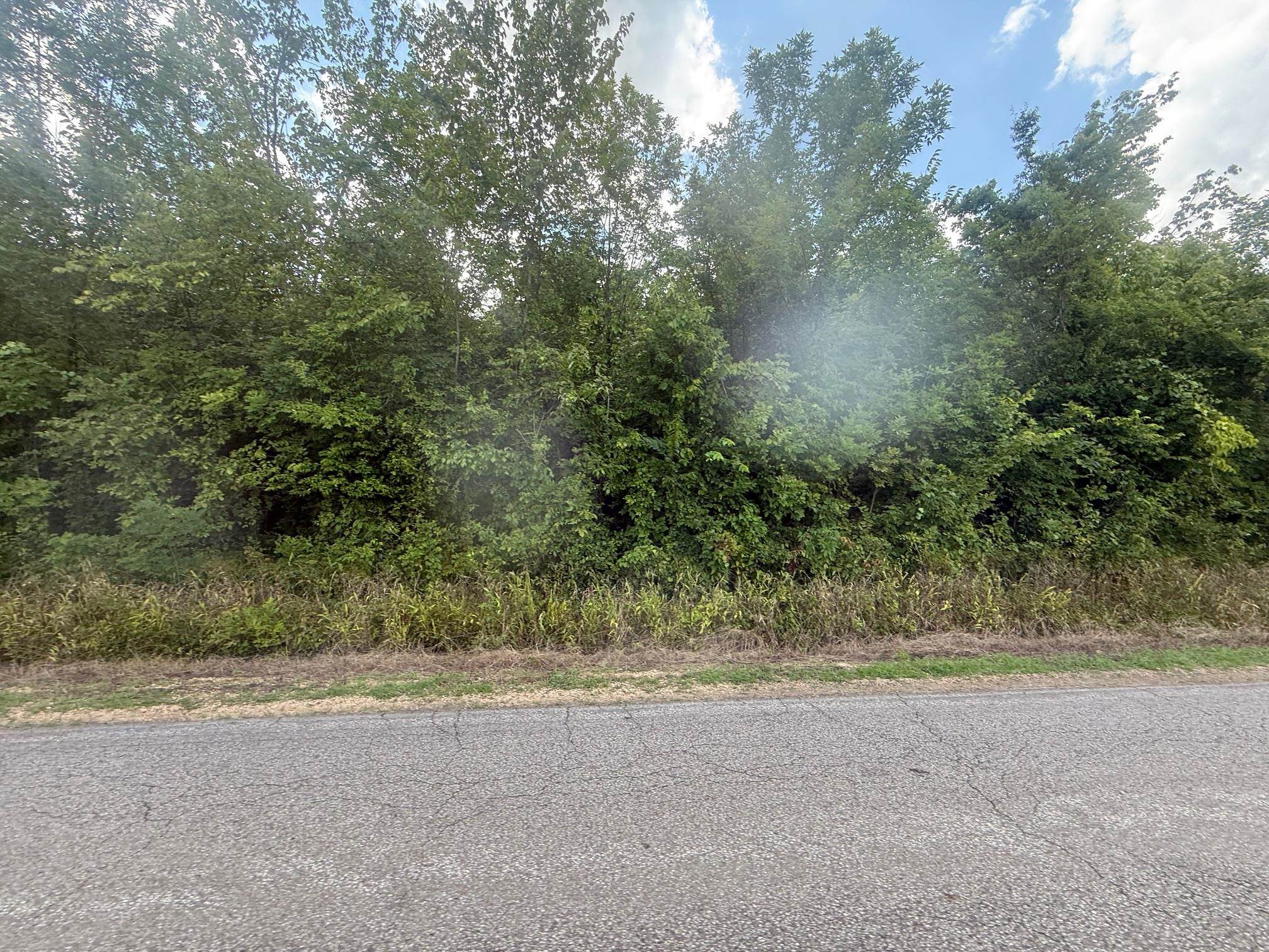 TRACT 3 COFFEE LANDING RD