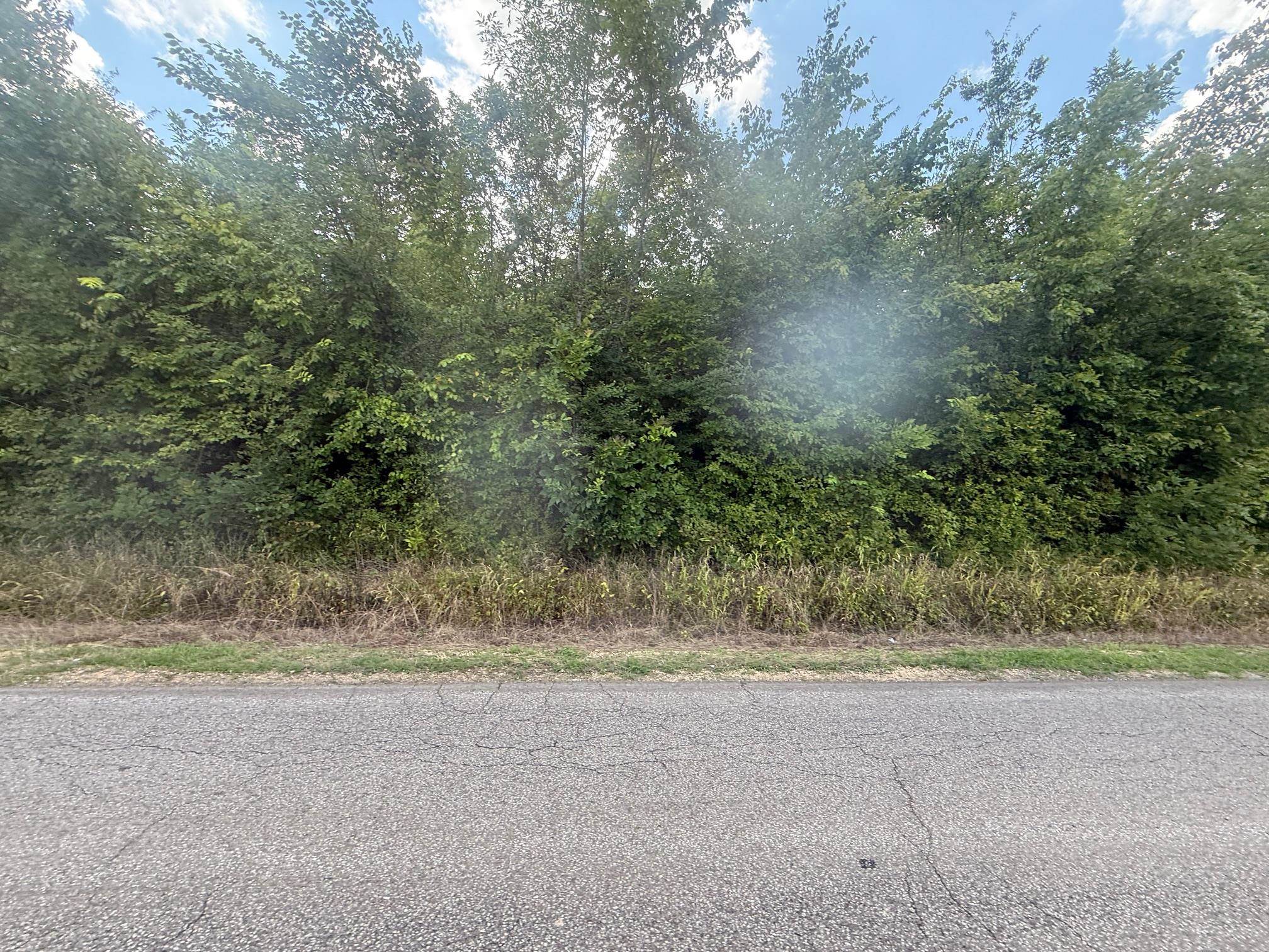 TRACT 3 COFFEE LANDING RD