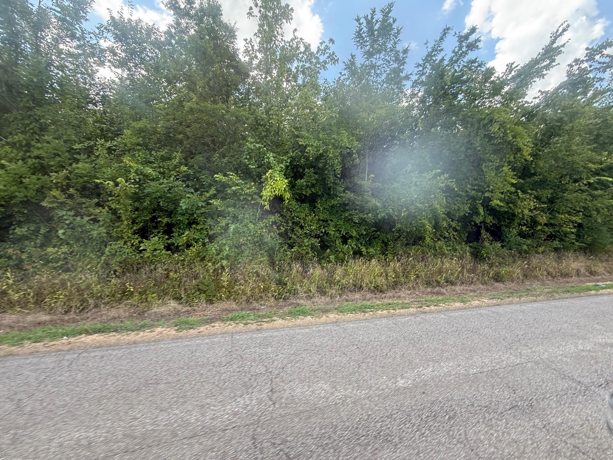 TRACT 3 COFFEE LANDING RD